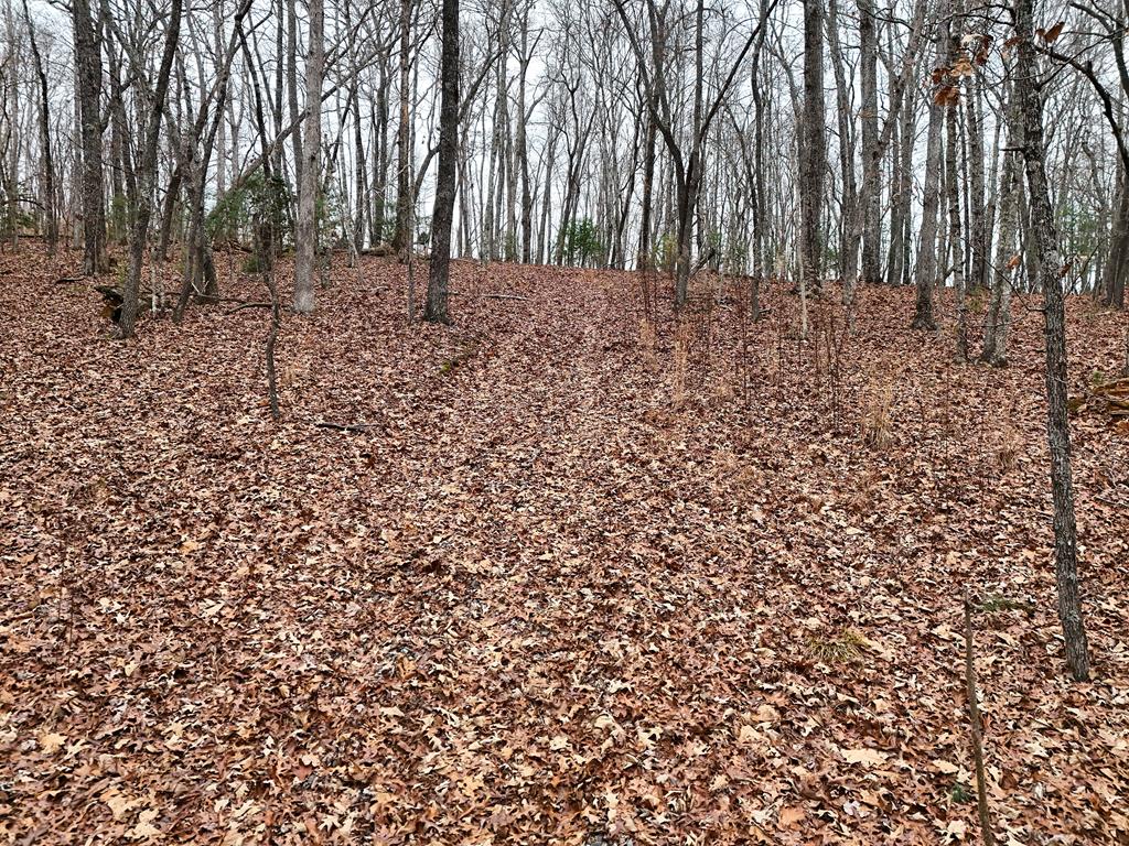 Blue Ridge, Georgia, 30513, United States, ,Land,For Sale,1859049