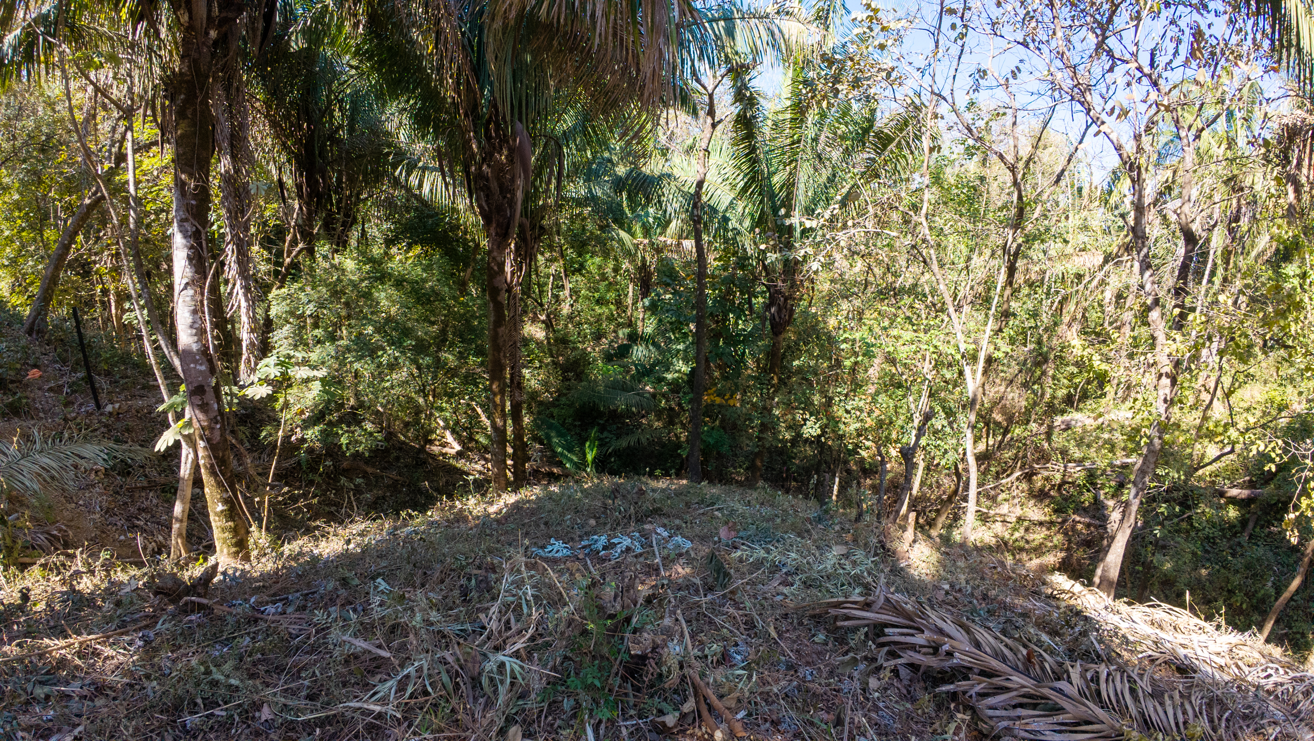 300 mt suroeste del Restaurante Dolce Vita, Espera, Nosara, Guanacaste, CR, ,Land,For Sale,300 mt suroeste del Restaurante Dolce Vita, Espera,1614754