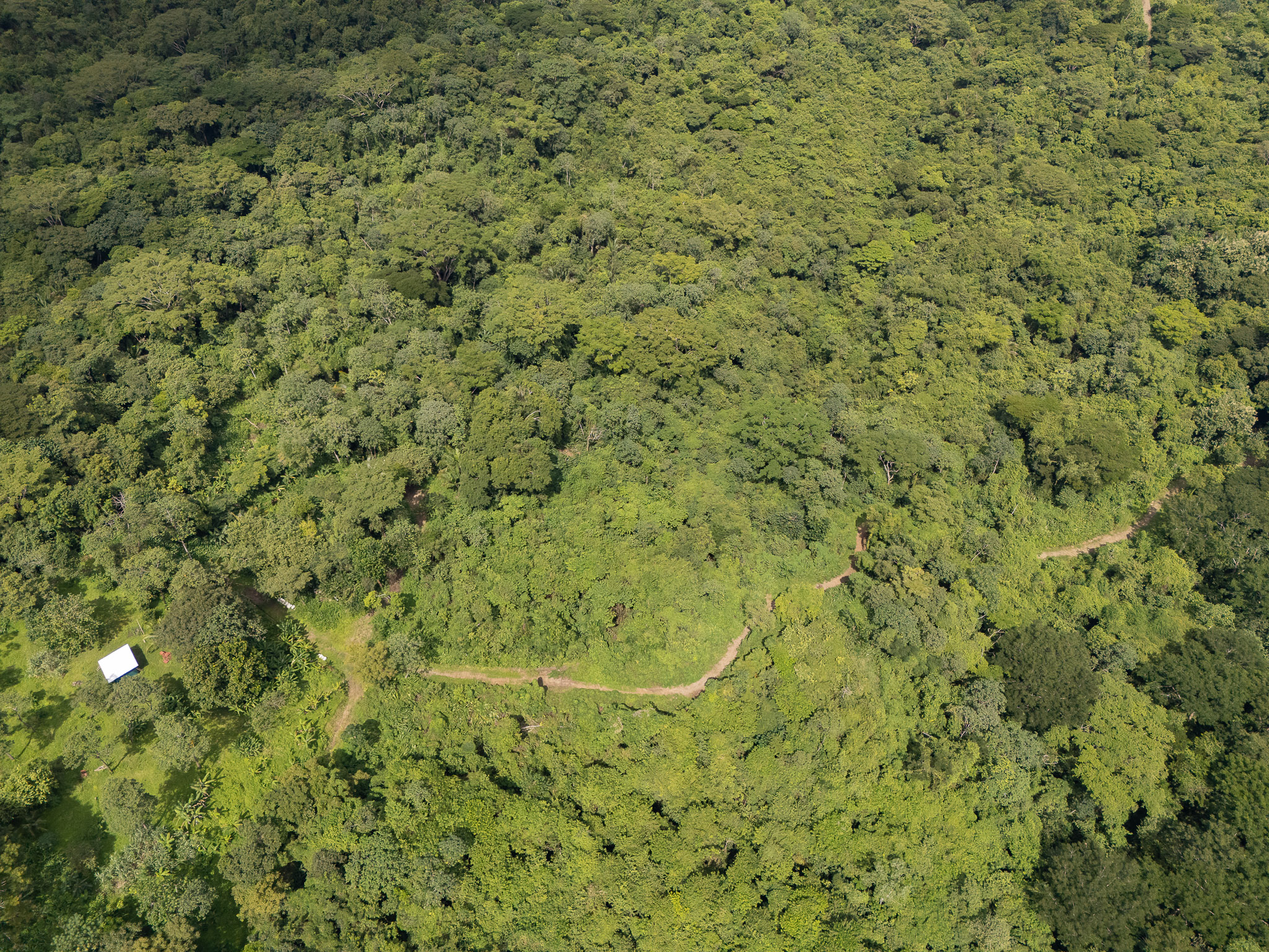 Cabuya, Puntarenas, 60111, CR, ,Land,For Sale,1999062