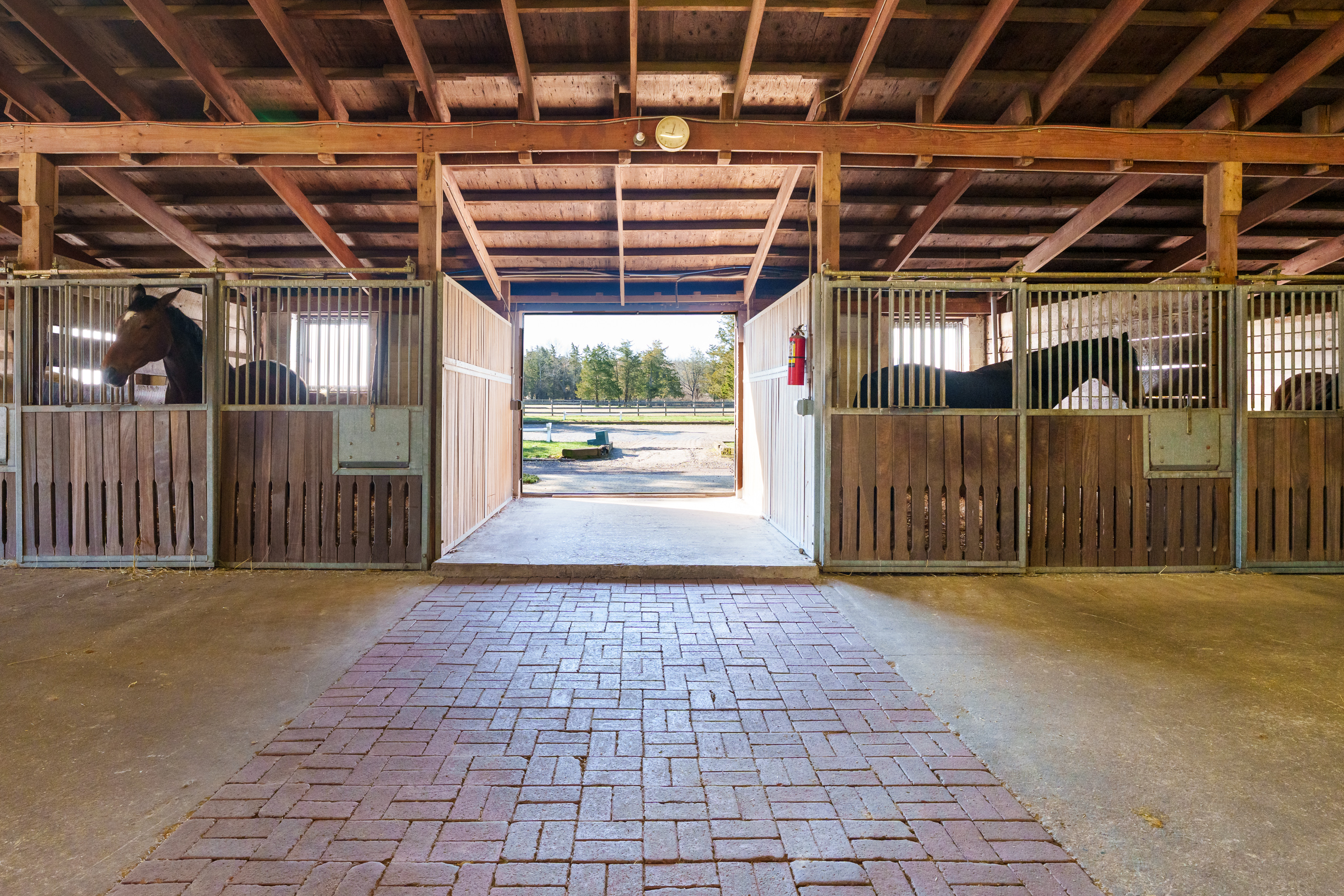  Turn-key Exceptional Princeton Area Equestrian Estate and Preserved Farm - 物件實景