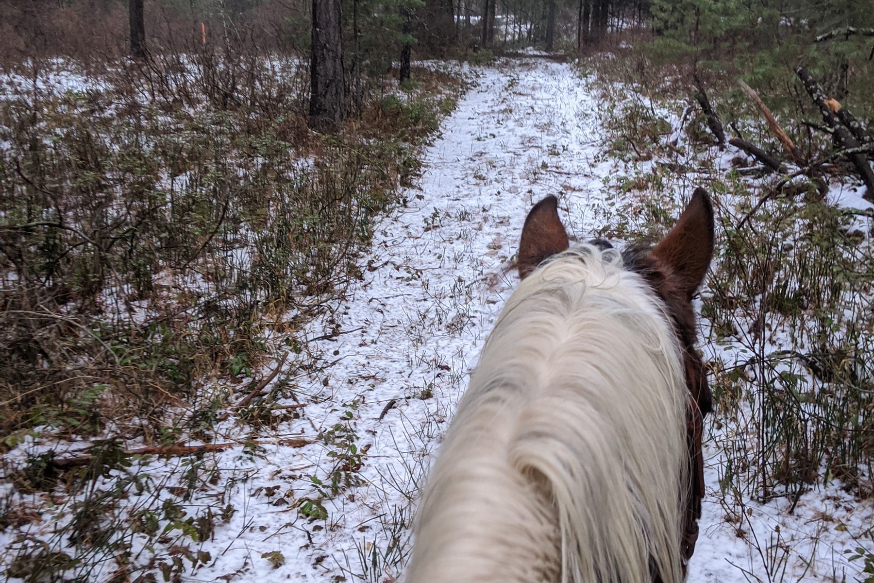  Charming Country Home on 10 Acres - 物件實景