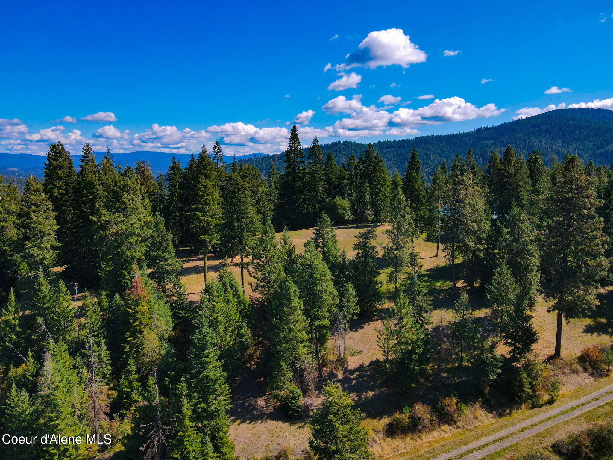 Harrison, Idaho, 83833, United States, ,1 BathroomBathrooms,Residential,For Sale,1765593