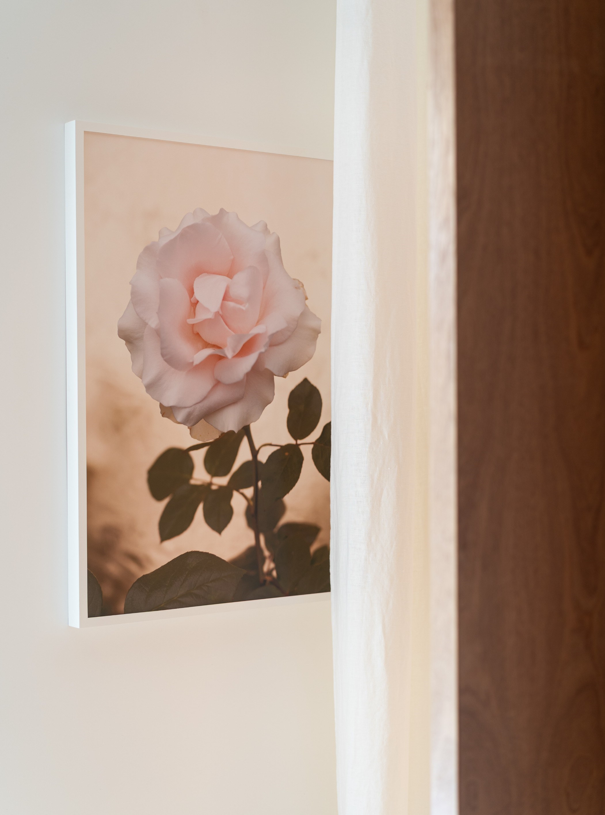  Charming apartment with views onto garden - 物件實景