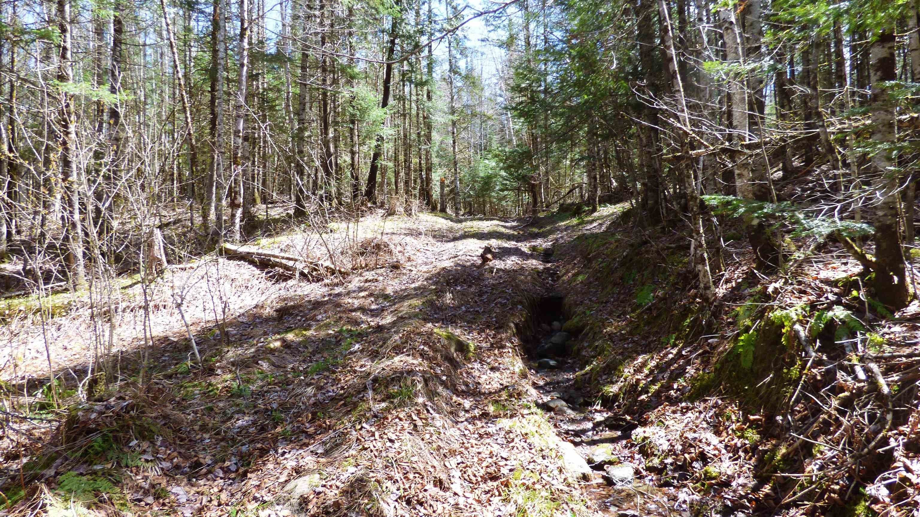 Wheelock, Vermont, 05851, United States, ,Land,For Sale,2017669
