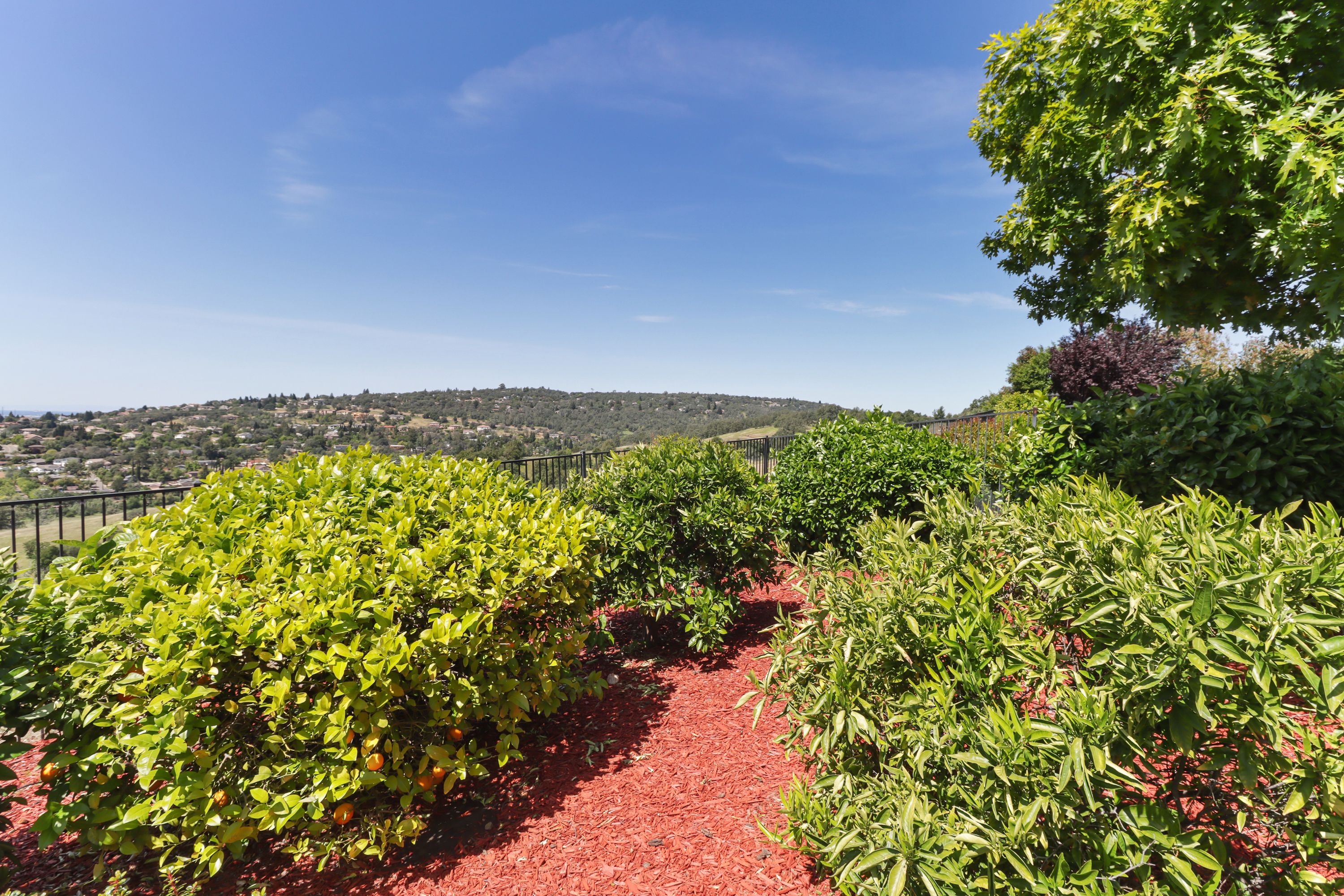  1294 Souza Drive, El Dorado Hills, CA 95762 - 物件實景