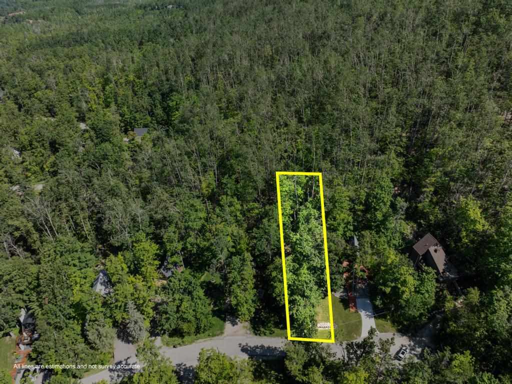Harbor Springs, Michigan, 49740, United States, 2 Bedrooms Bedrooms, ,2 BathroomsBathrooms,Residential,For Sale,1901422
