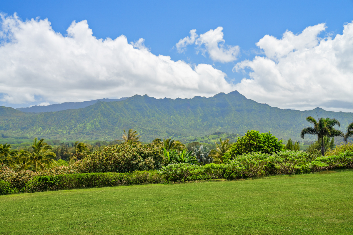 Kilauea, Hawaii, 96754, United States, ,Land,For Sale,1849730