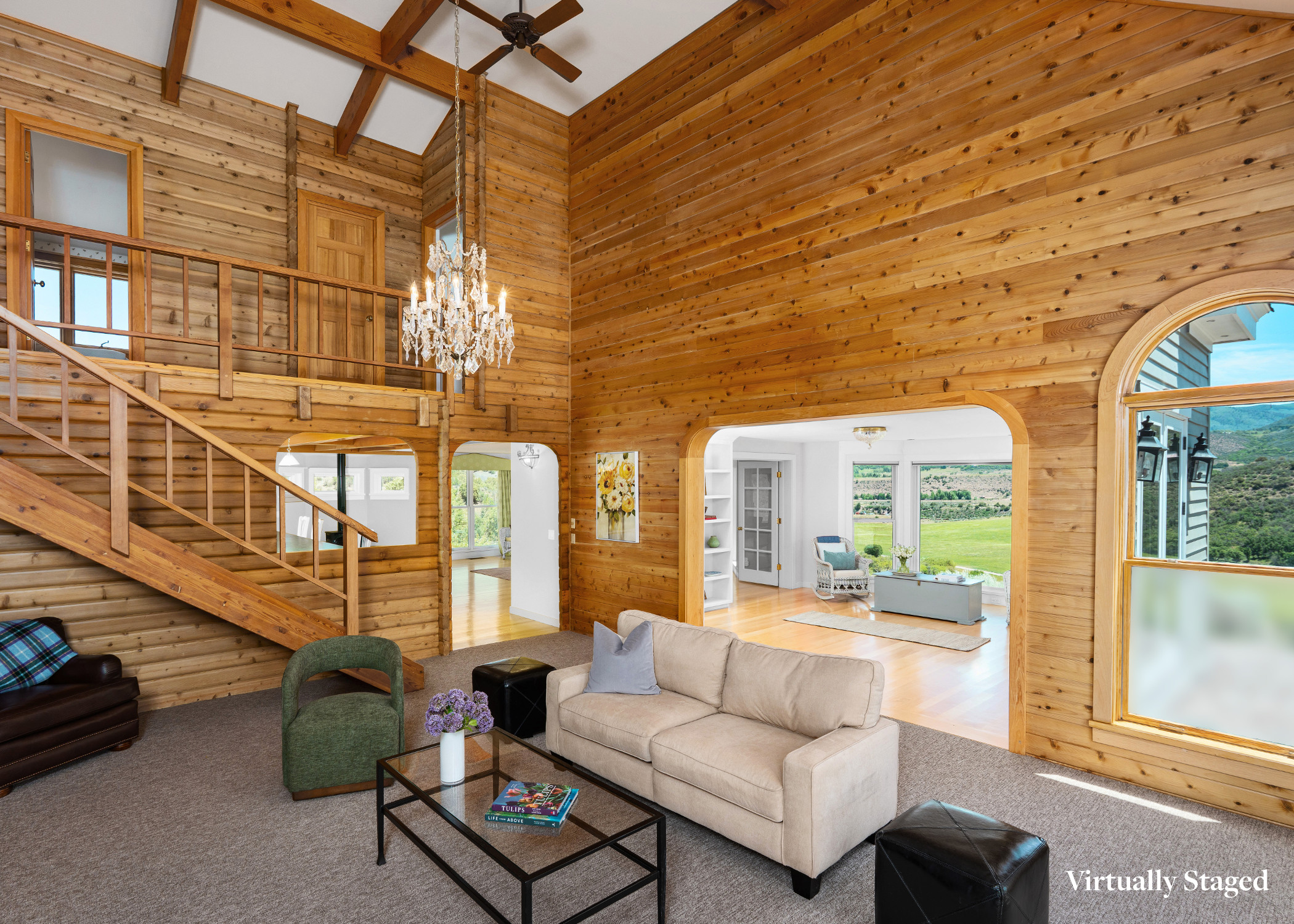  679 Brush Creek Road, Aspen, CO 81611 - 物件實景