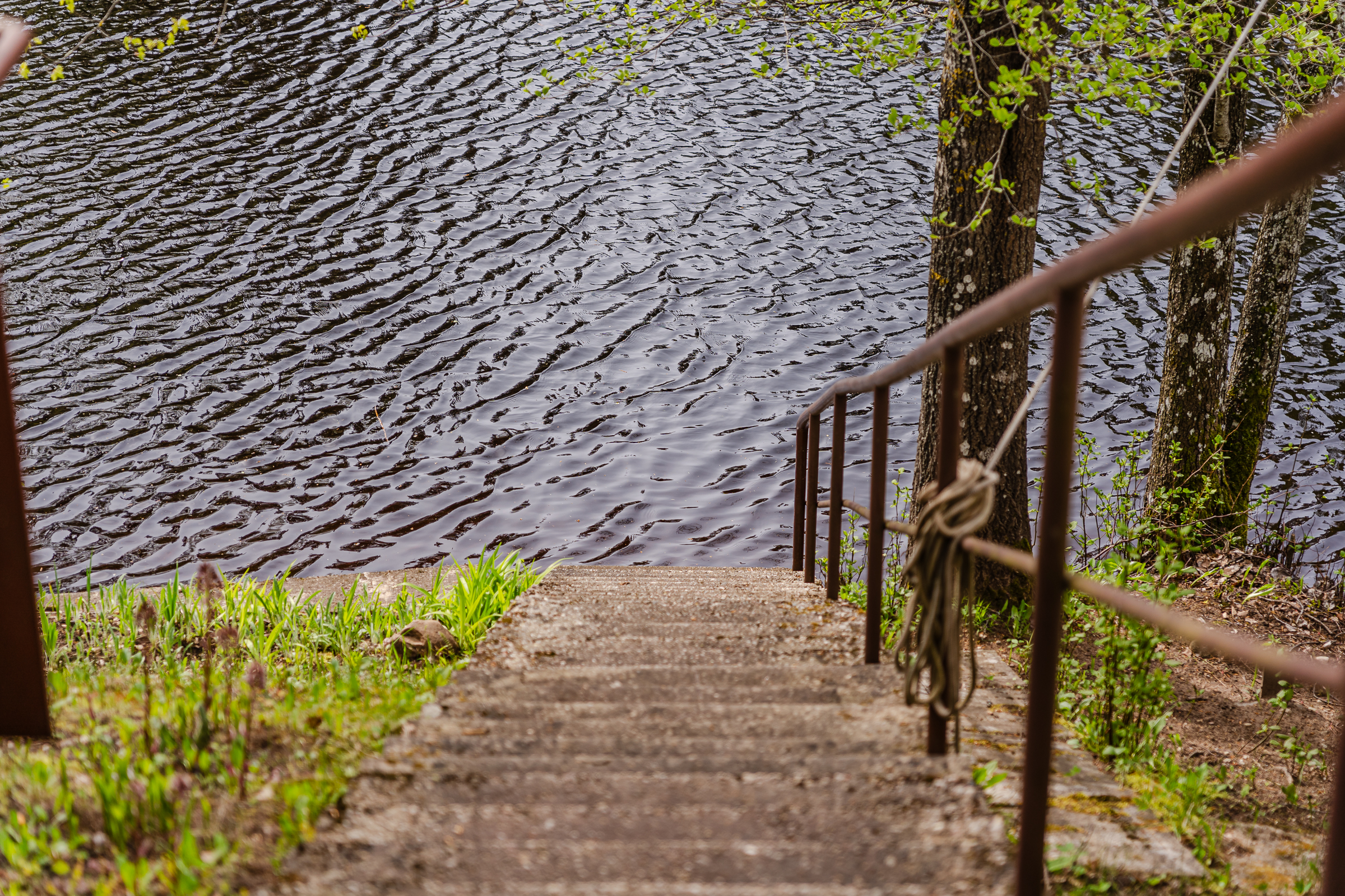  Picturesque property on the Daugava river - 物件實景