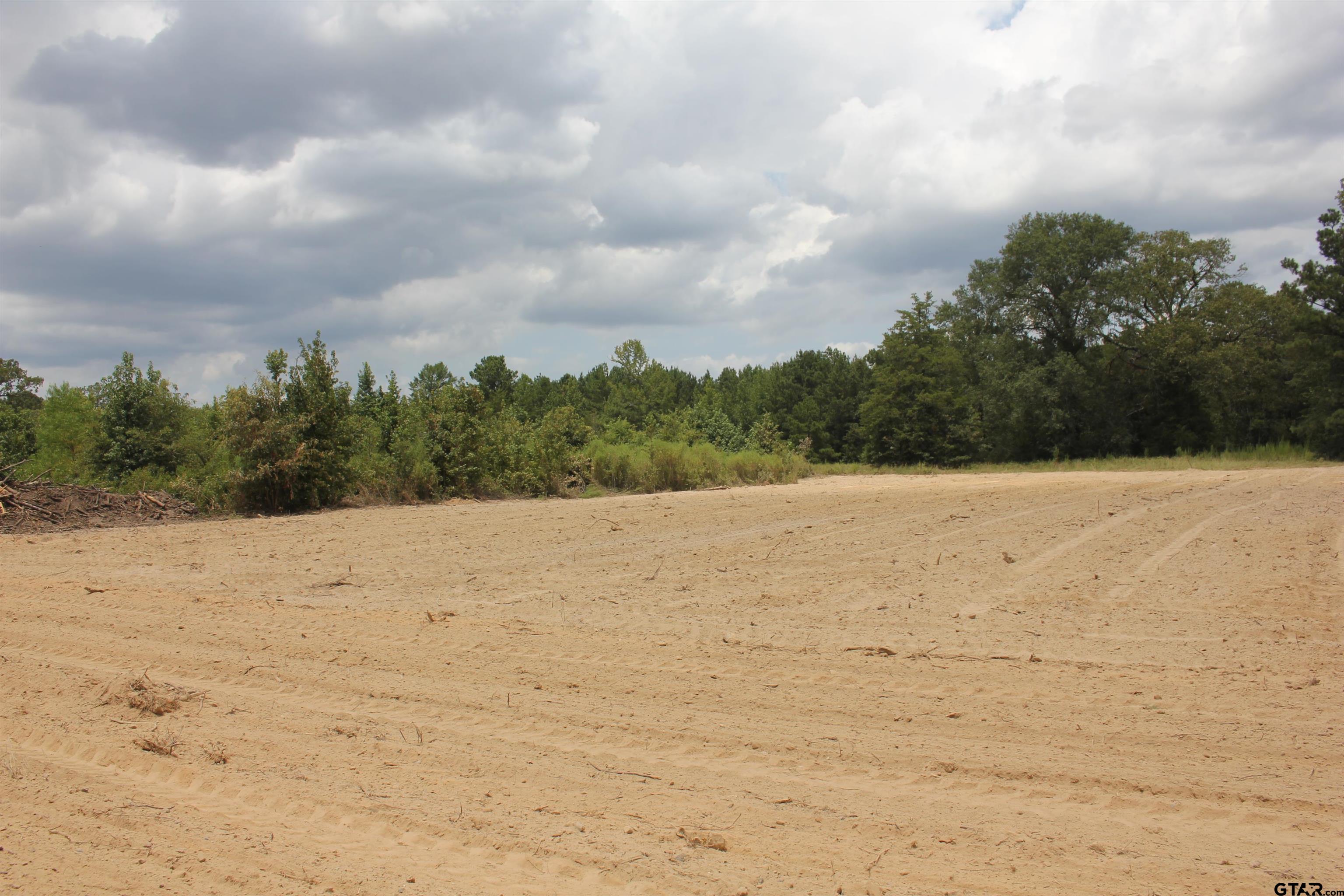 TBD Intersection CR 1324 & CR 1301, Marshall, Texas, 75672, United States, ,Land,For Sale,TBD Intersection CR 1324 & CR 1301,1610763