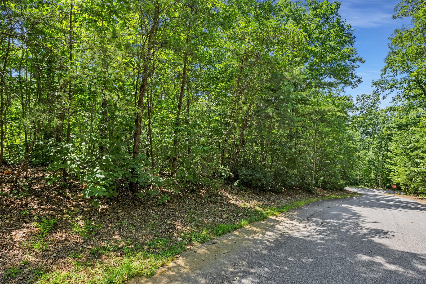  14 Alsace Way, Travelers Rest, SC 29690 - 物件實景