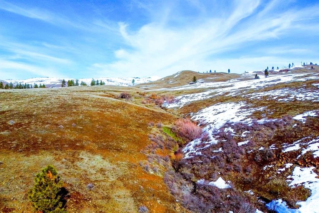 Council, Idaho, 83612, United States, ,Residential,For Sale,1935833