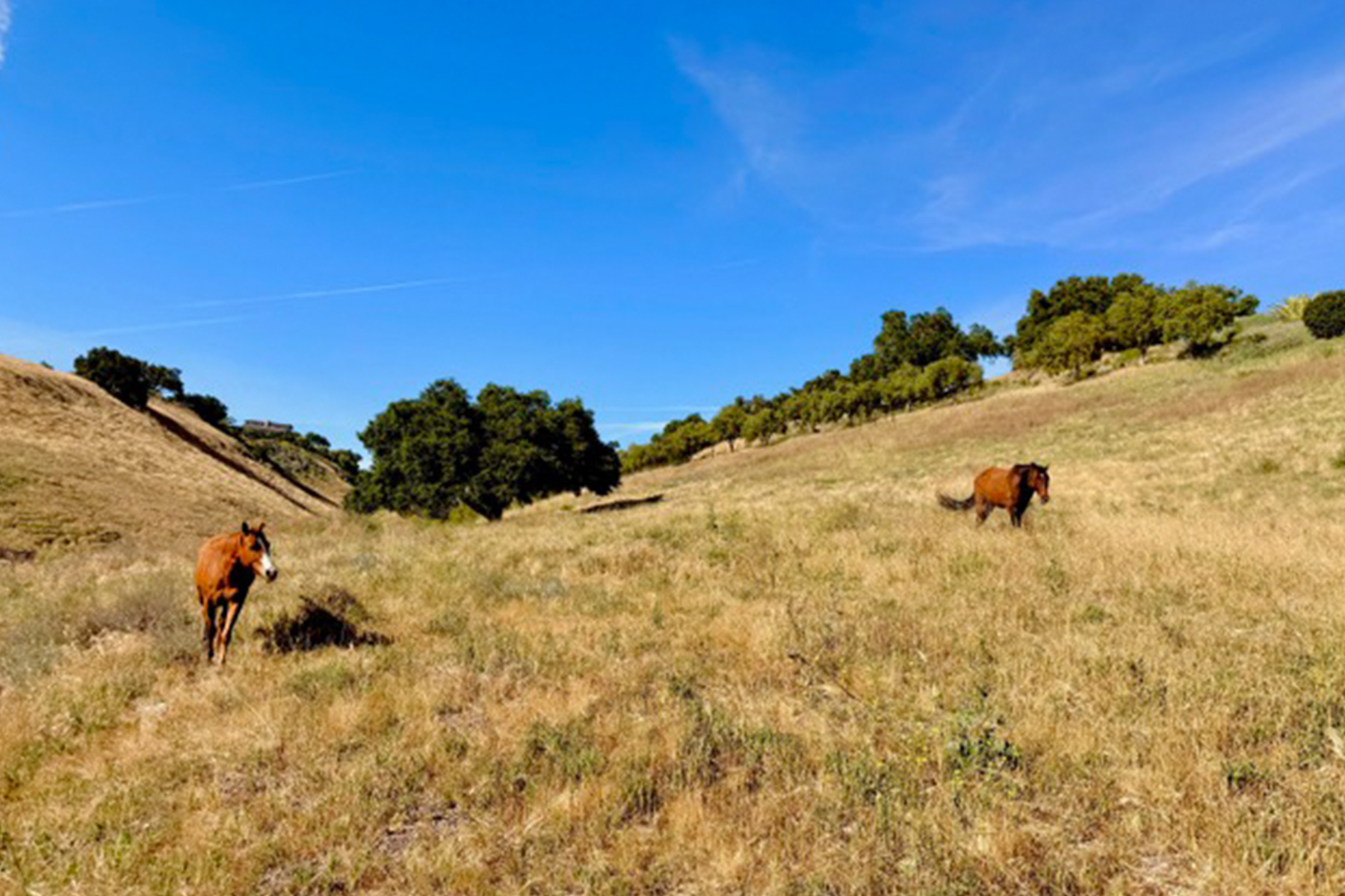 Hilltop Haven w/ Panoramic Mountain View - 物件實景