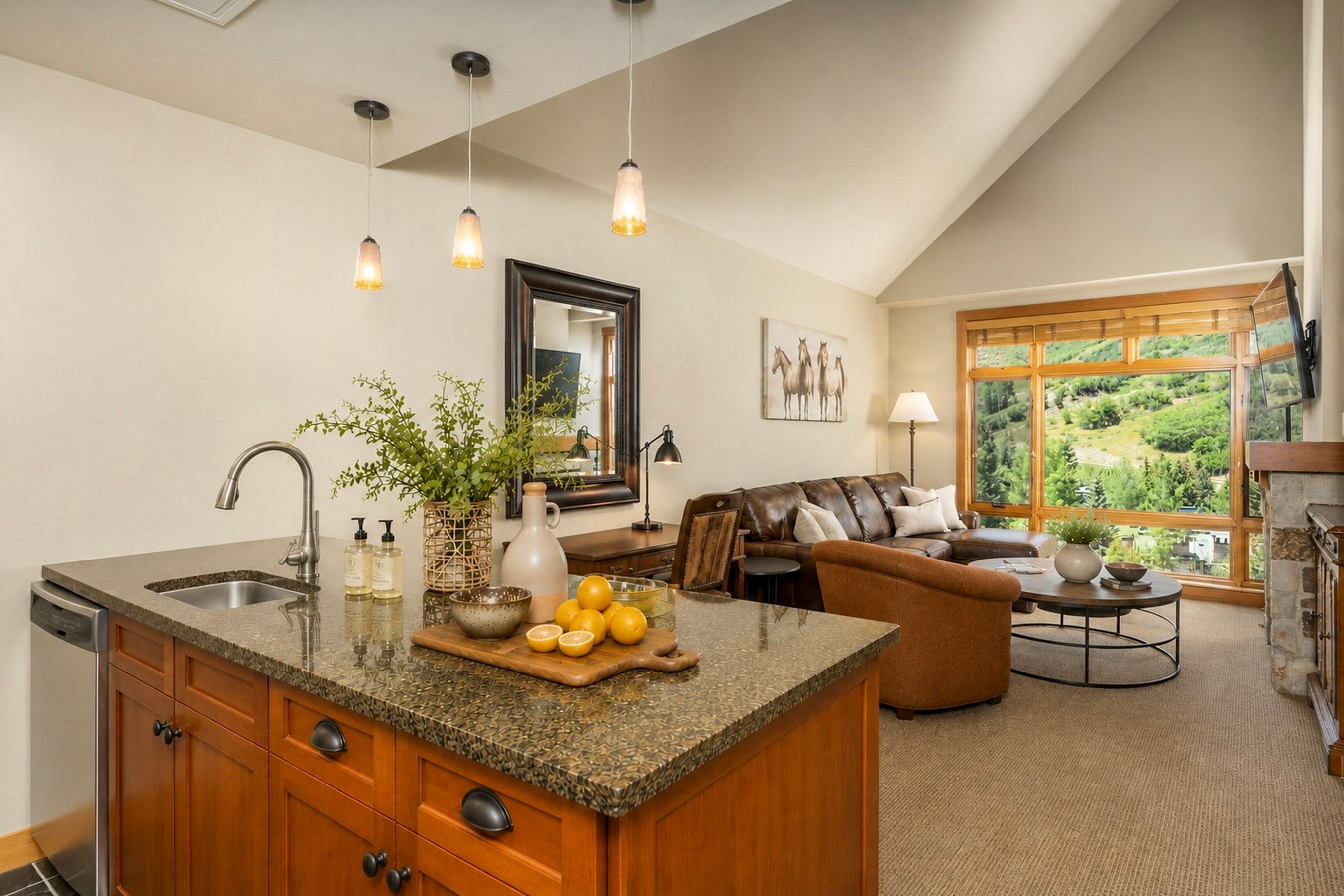  110 Carriage Way, Snowmass Village, CO, 81615 - 物件實景
