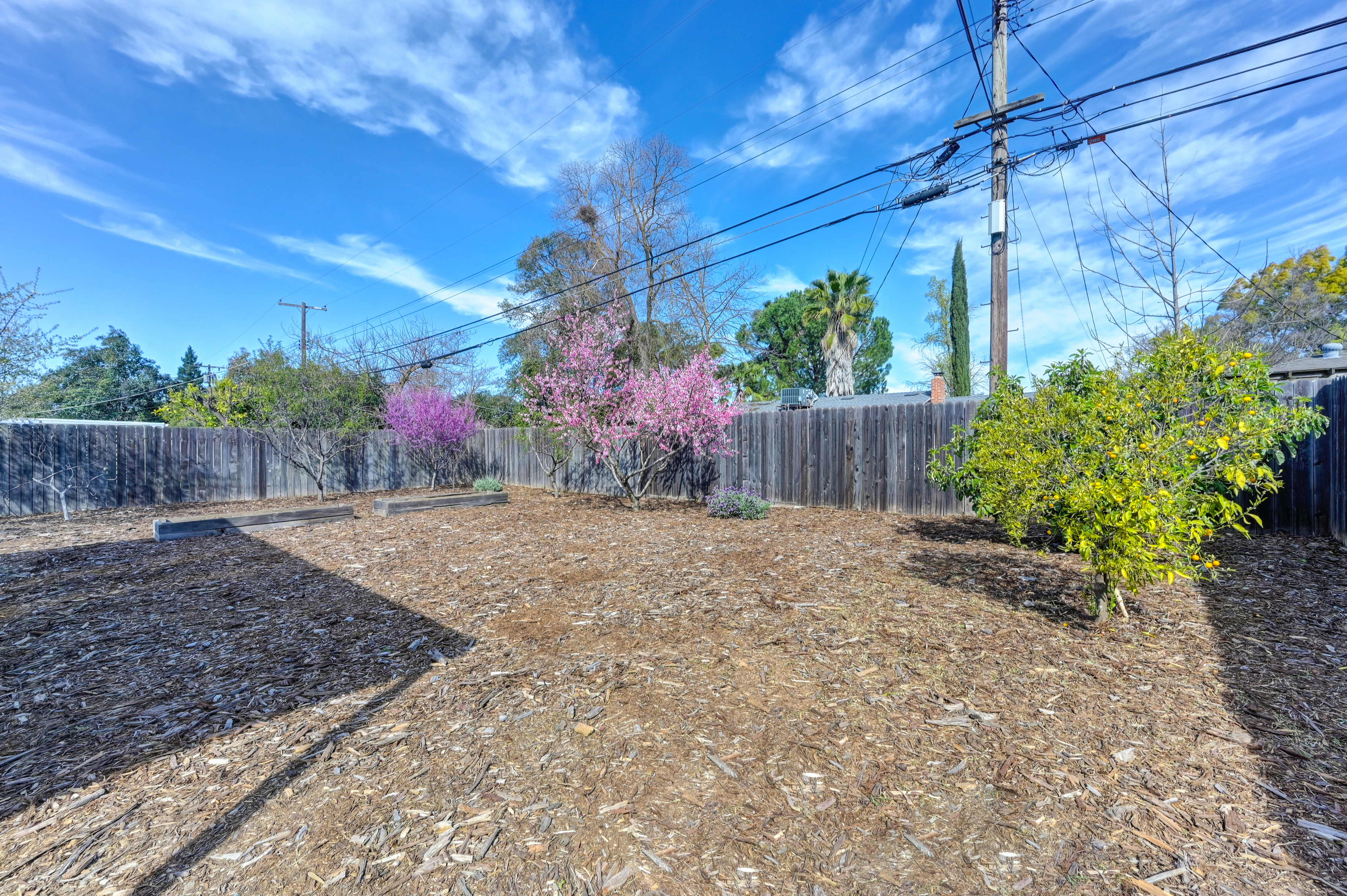  3125 Windsor Drive, Sacramento, CA 95864 - 物件實景