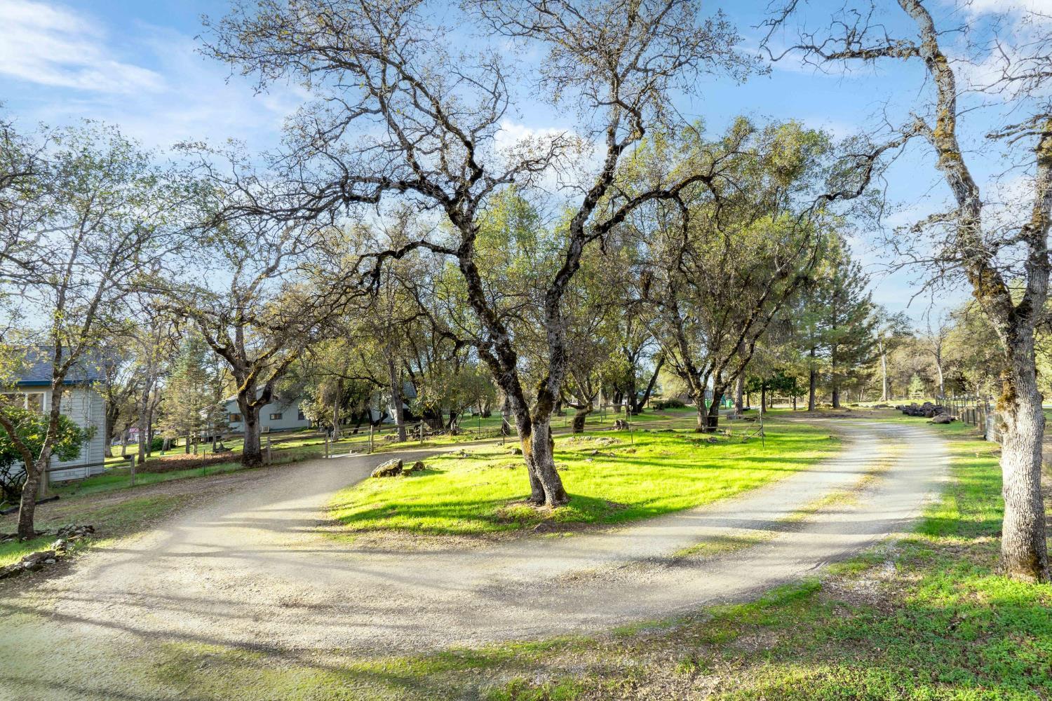 Penn Valley, California, 95946, United States, 3 Bedrooms Bedrooms, ,3 BathroomsBathrooms,Residential,For Sale,1989593
