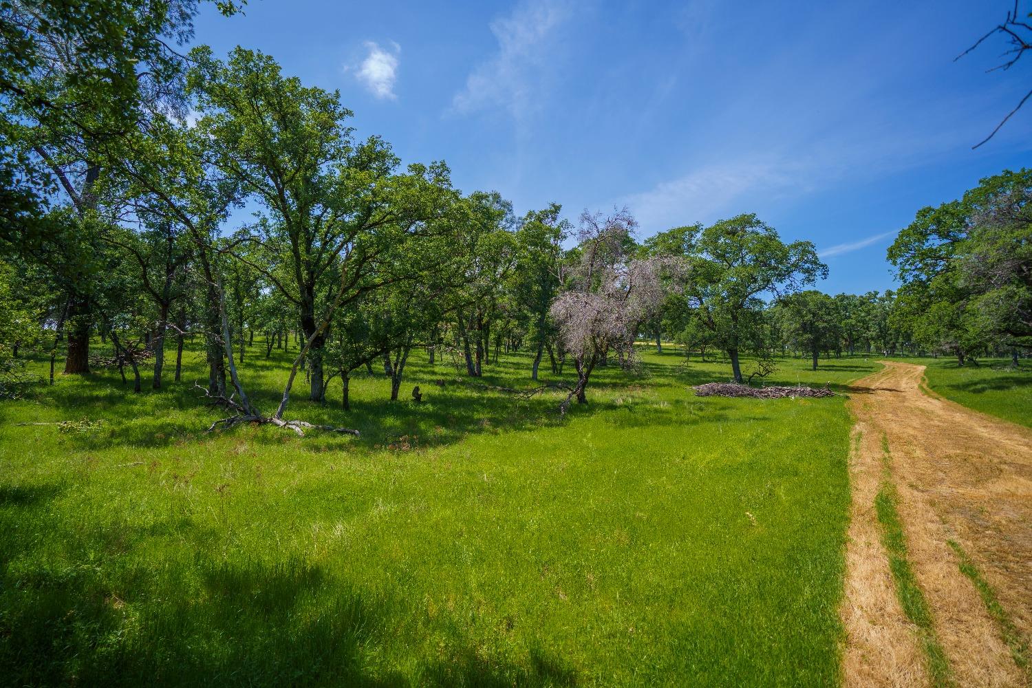 Lincoln, California, 95648, United States, ,Land,For Sale,1784125