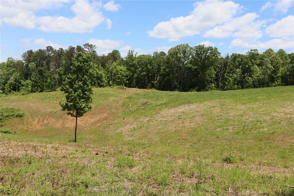 Ellijay, Georgia, 30540, United States, ,Residential,For Sale,1881390
