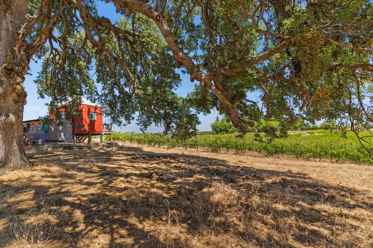21226 Dickson Road, Plymouth, California, 95669, United States, ,Land,For Sale,21226 Dickson Road,1672447