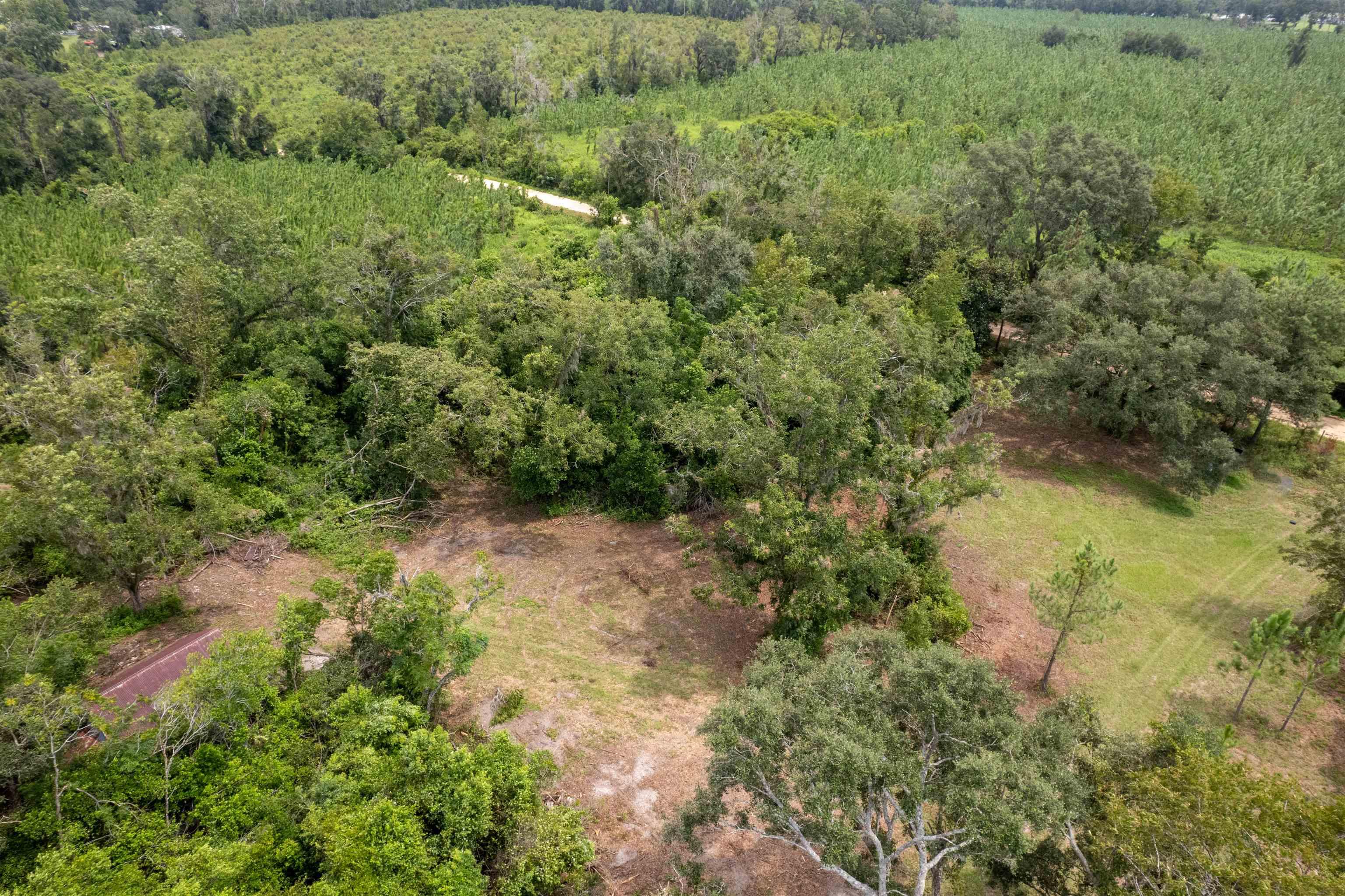 xxx Ne Geranium Street, Madison, Florida, 32340, United States, ,Land,For Sale,xxx Ne Geranium Street,1671968