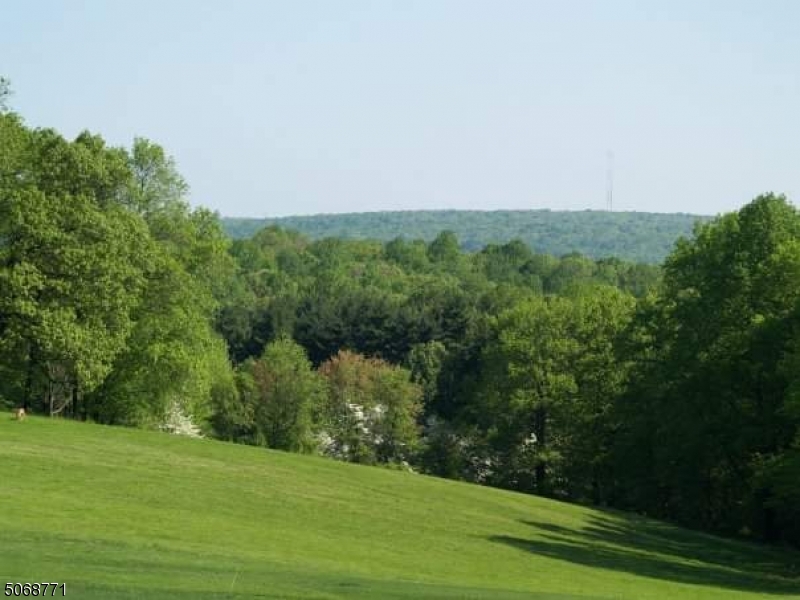 Mendham Twp., New Jersey, 07945, United States, ,Land,For Sale,1877223