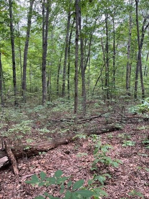Graysville, Tennessee, 37338, United States, ,Residential,For Sale,1943907