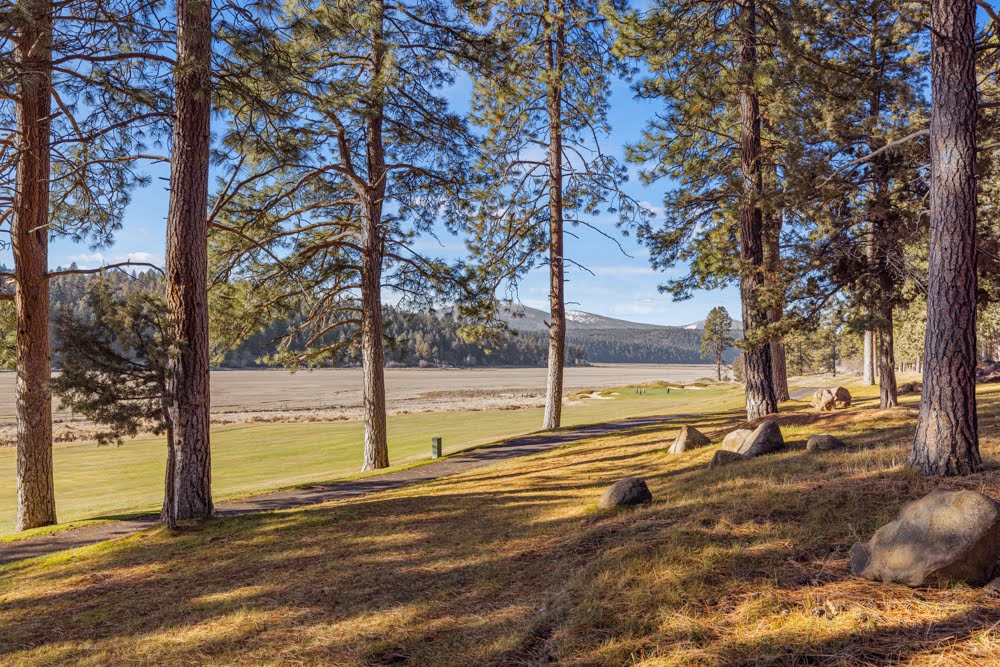 KLAMATH FALLS, Oregon, 97601, United States, 3 Bedrooms Bedrooms, ,4 BathroomsBathrooms,Residential,For Sale,1981715