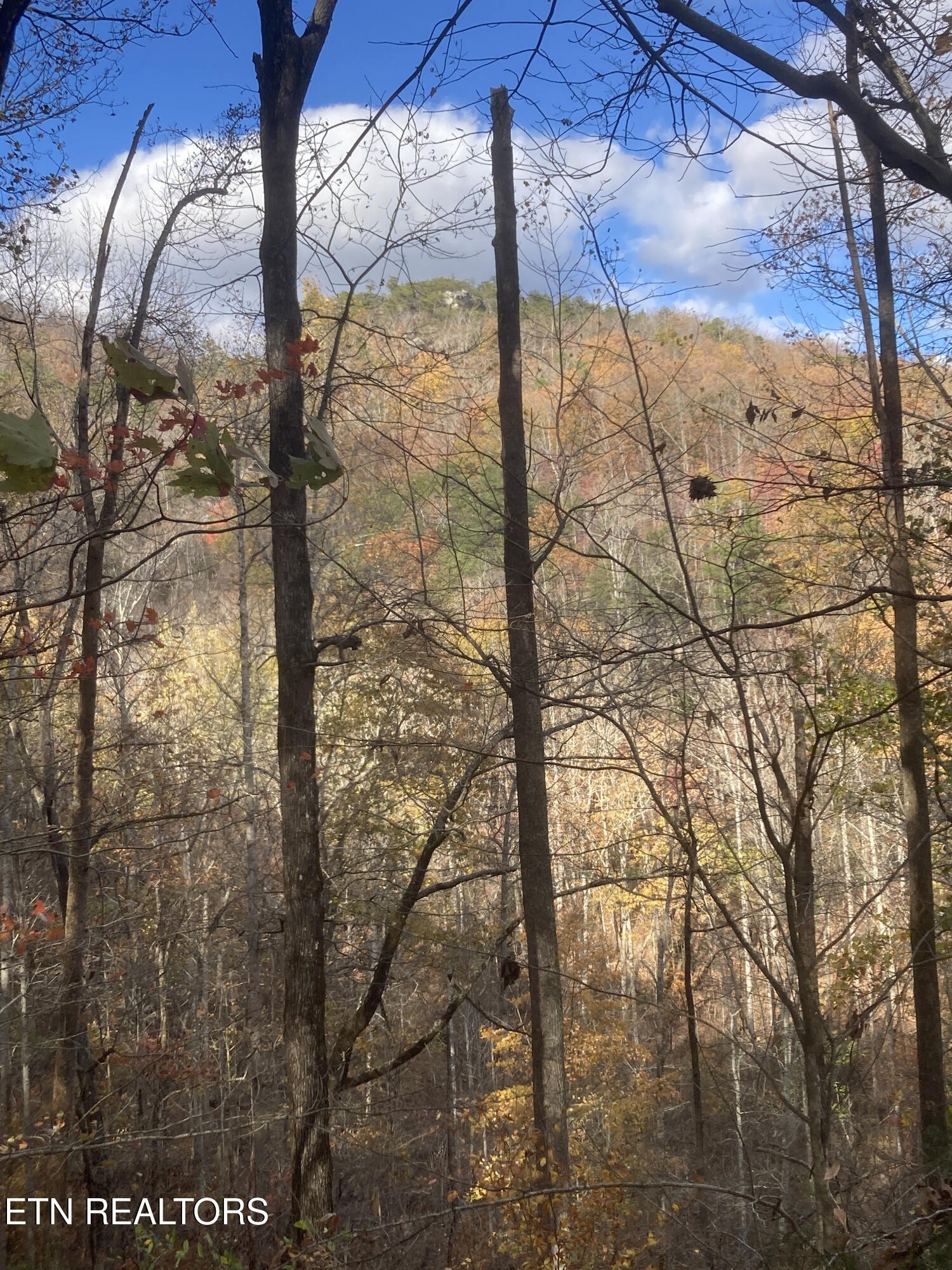 Pikeville, Tennessee, 37367, United States, 3 Bedrooms Bedrooms, ,2 BathroomsBathrooms,Residential,For Sale,1974789