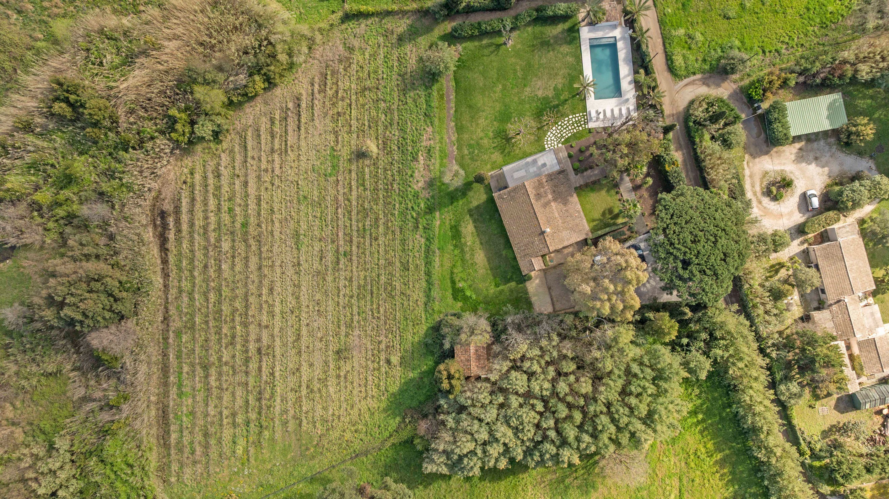  Ramatuelle Pampelonne villa 162 sqm vineyard land 7130 sqm pool near beach - 物件實景