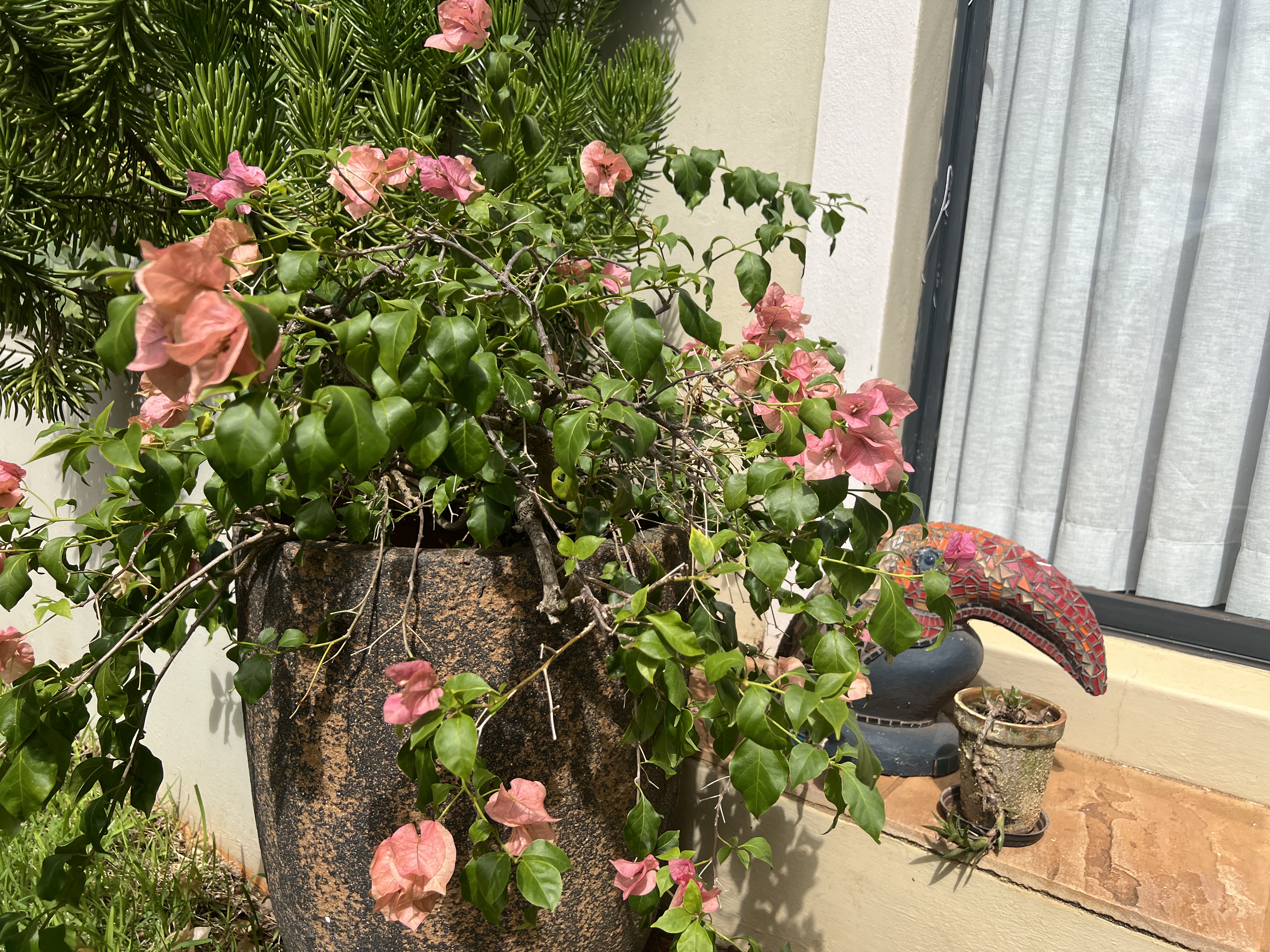  Meticulously maintained home with thoughtfully curated living spaces - 物件實景