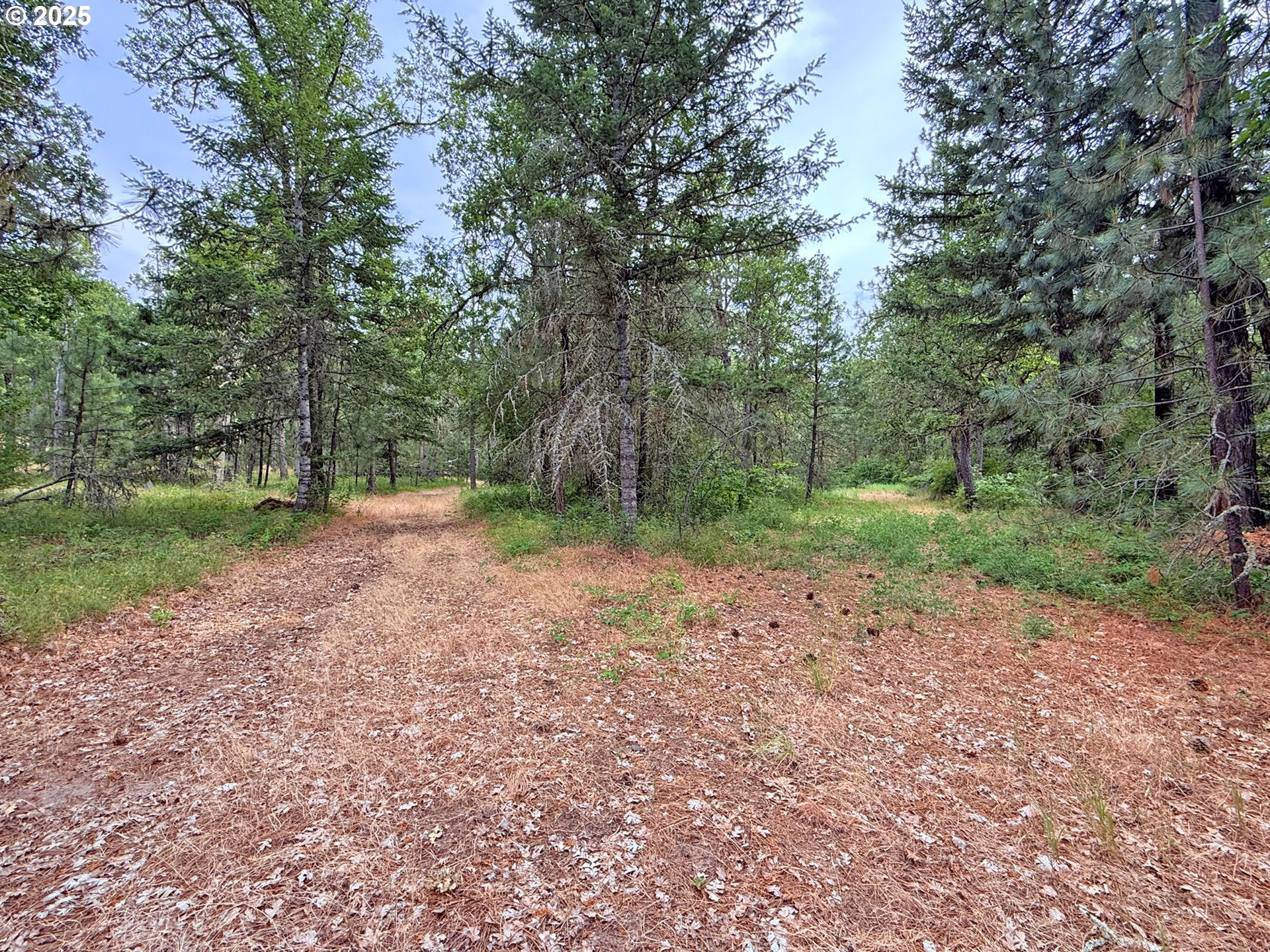 Lyle, Washington, 98635, United States, 3 Bedrooms Bedrooms, ,2 BathroomsBathrooms,Residential,For Sale,1875194