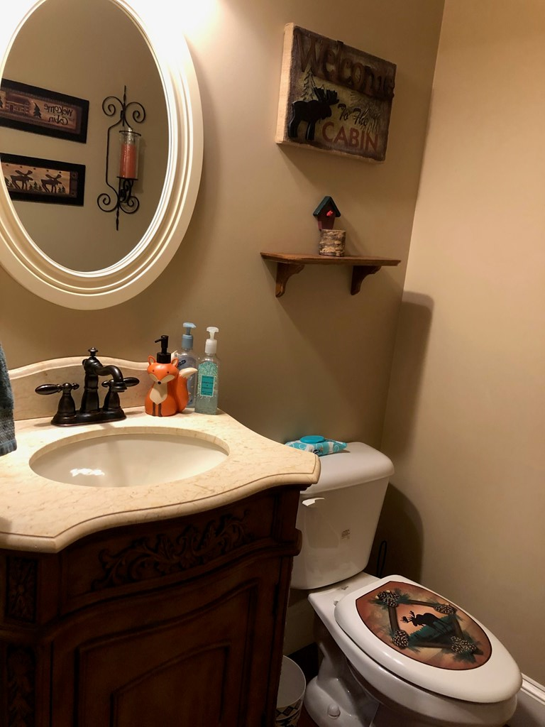Ellijay, Georgia, 30536, United States, 4 Bedrooms Bedrooms, ,4 BathroomsBathrooms,Residential,For Sale,1876952