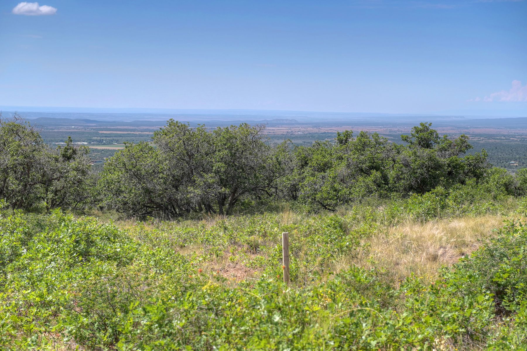 TBD Cross Creek Road, Hesperus, CO 81326 - 物件實景