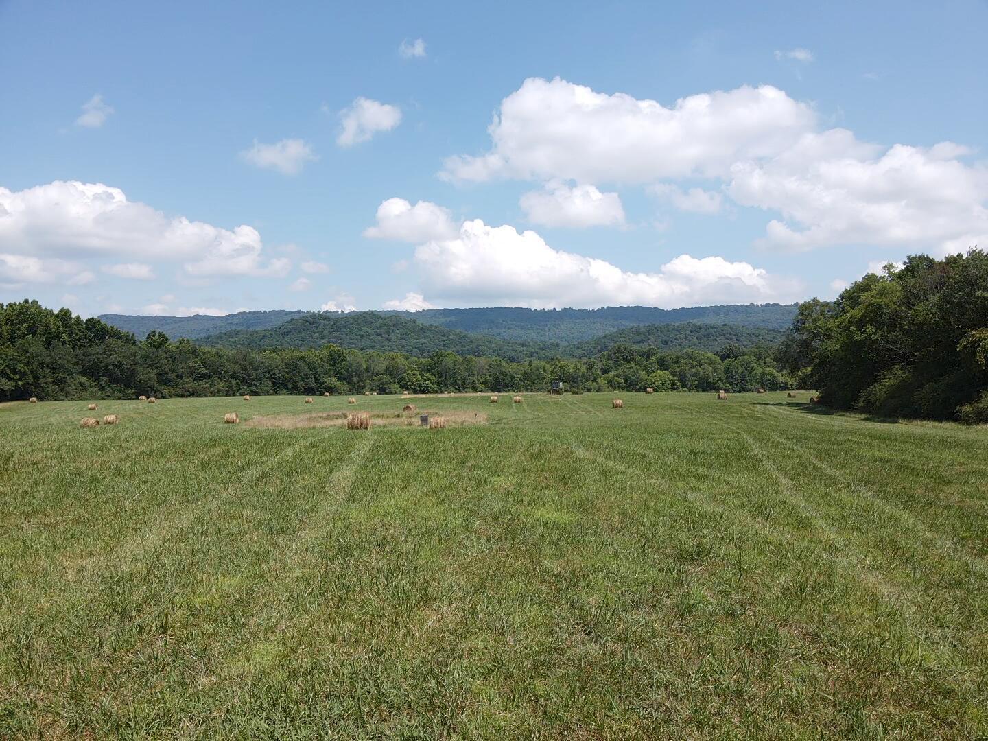 Bryant, Alabama, 35958, United States, ,Land,For Sale,1982684