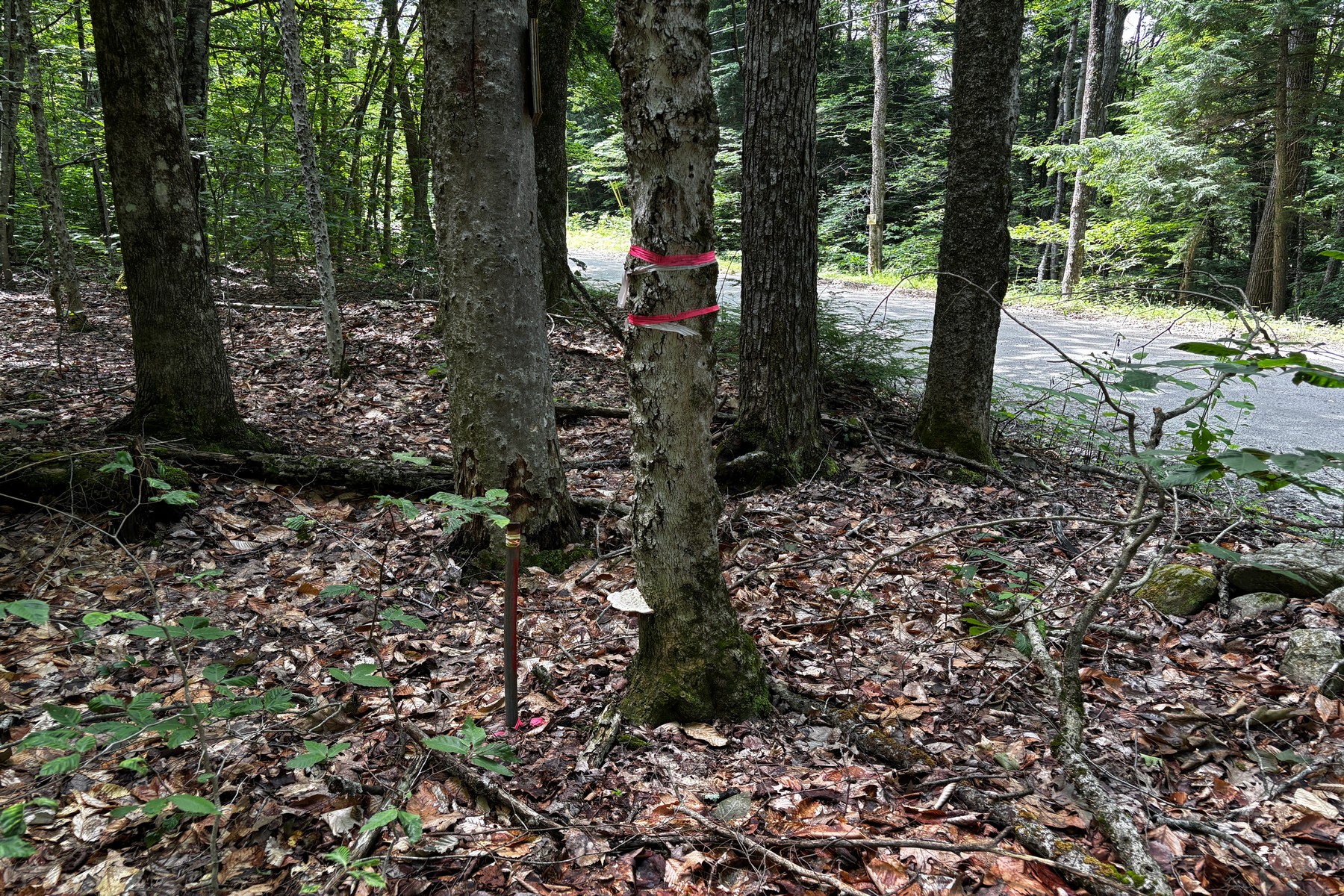  27 acres with close to Chester Village and Skiing - 物件實景