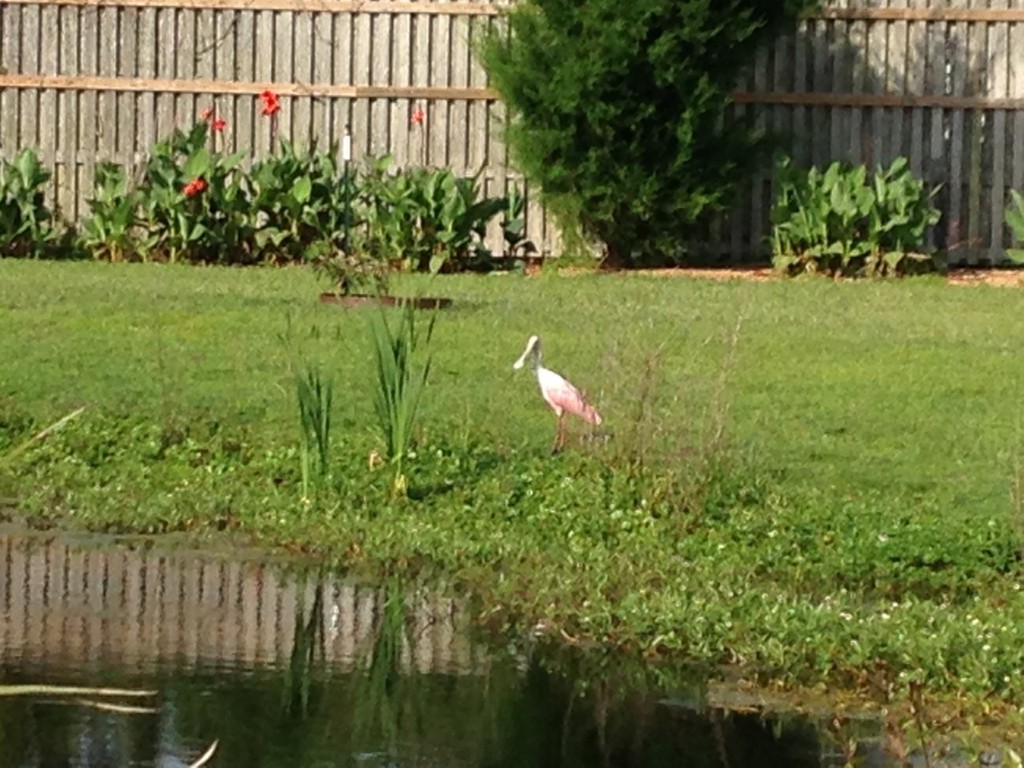 Fernandina Beach, Florida, 32034, United States, ,Land,For Sale,1982804