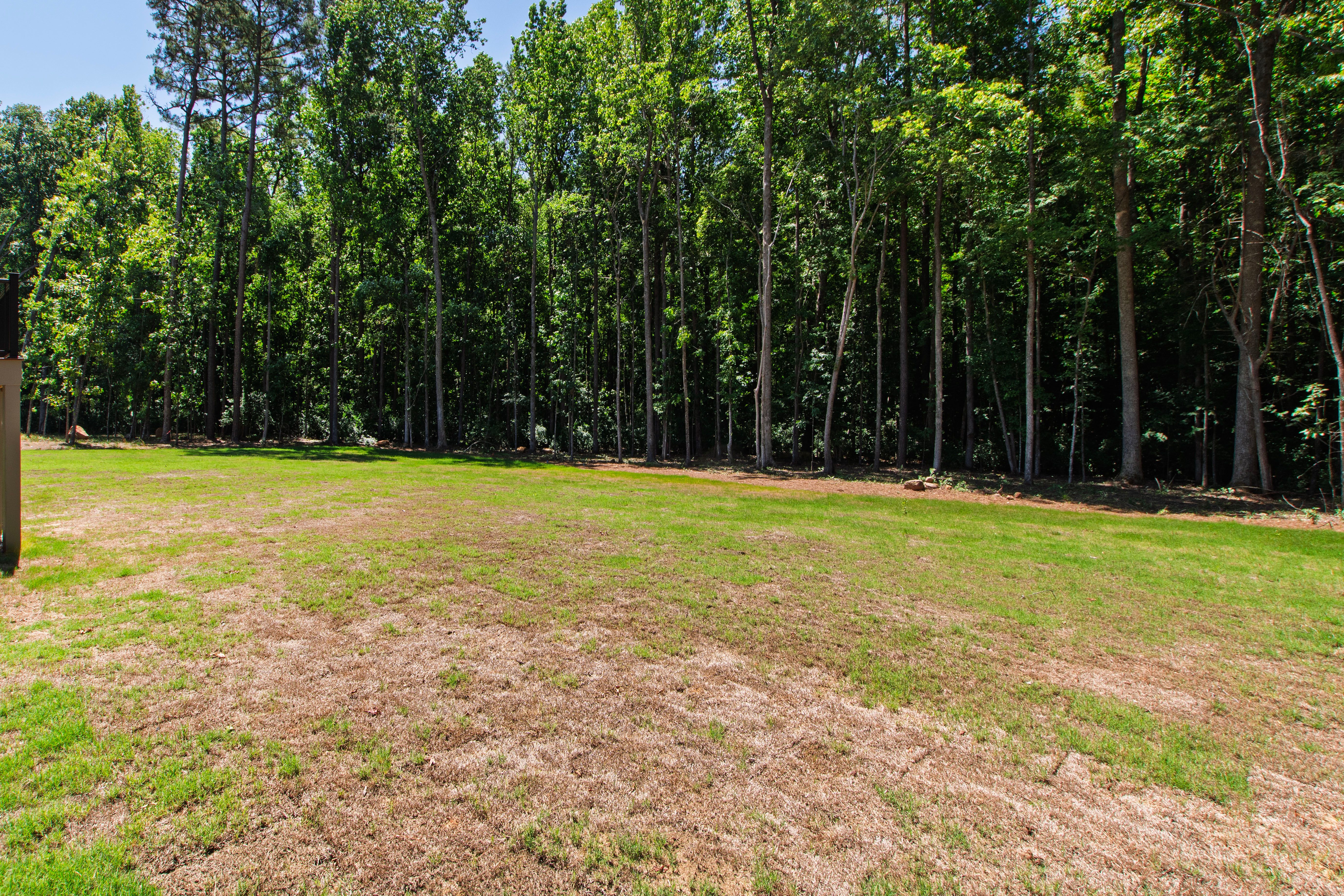  176 Clementine Way, Chapel Hill, NC 27516 - 物件實景