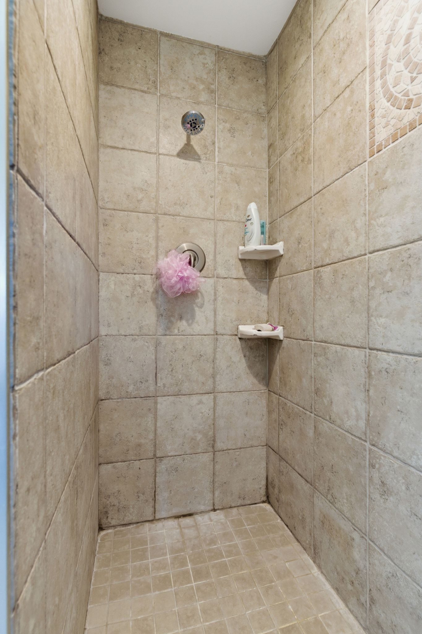  985 Furnace Hollow Road, Dickson, TN, 37055 - 物件實景