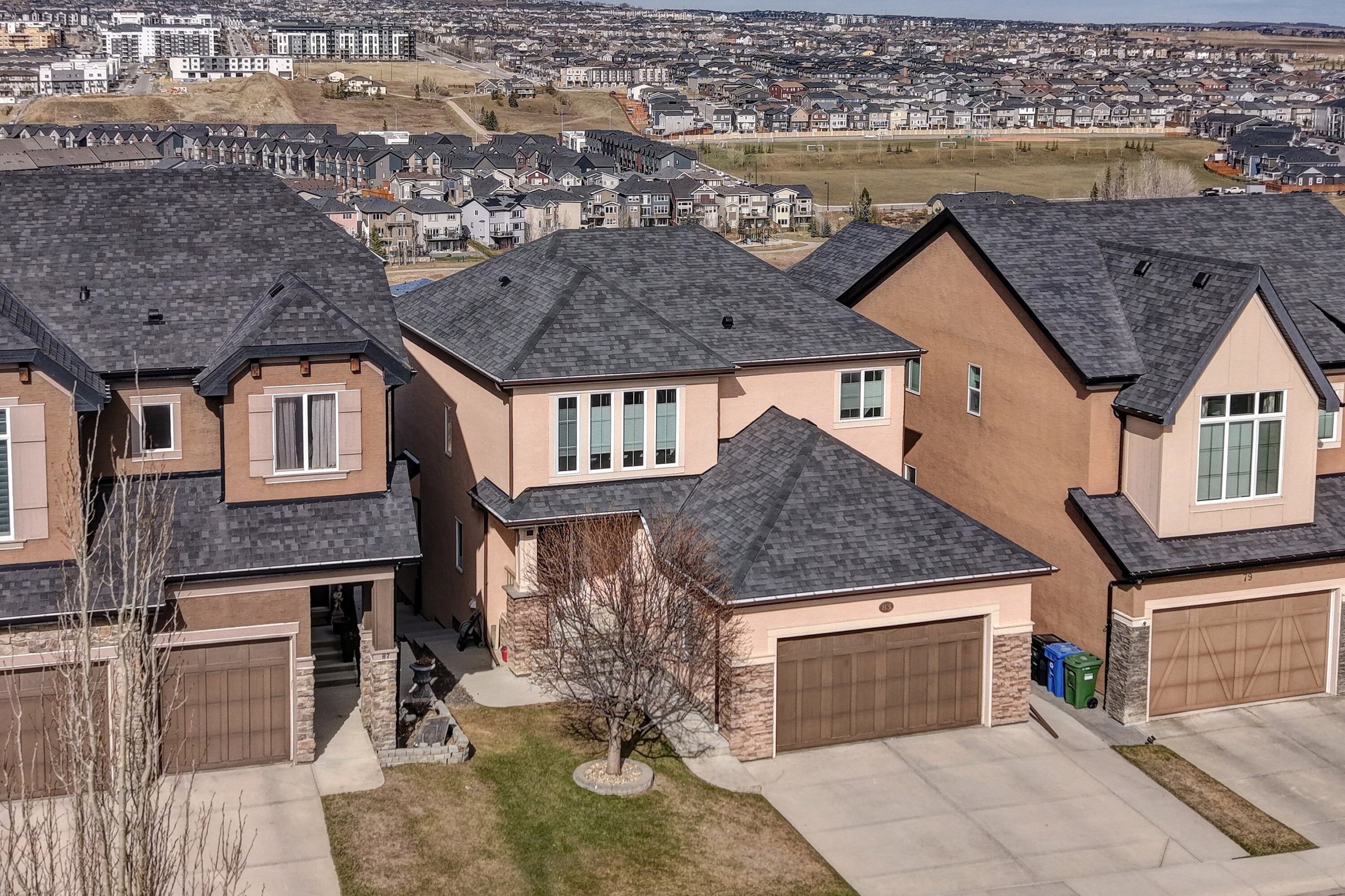  Calgary, Calgary and Foothills - 物件實景