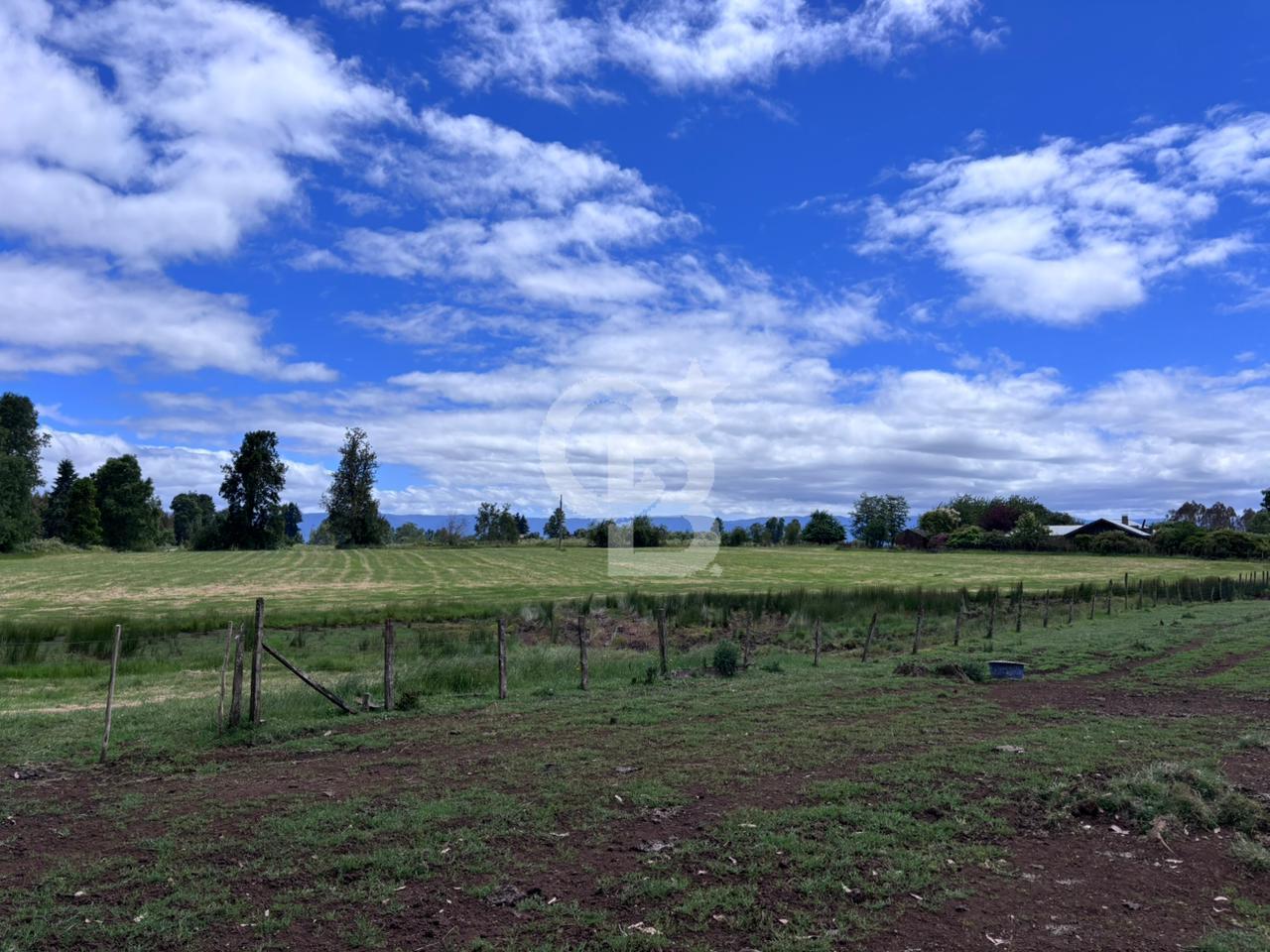 Fresia, Chile, ,Land,For Sale,2003048