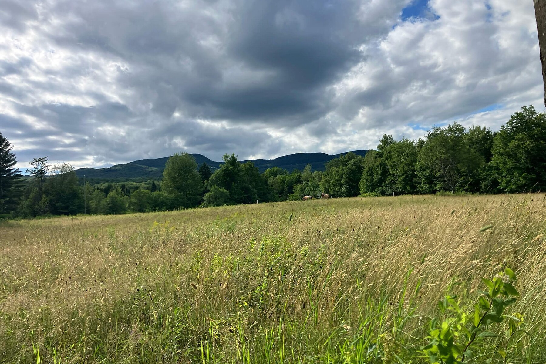  Potton, Eastern Townships - 物件實景