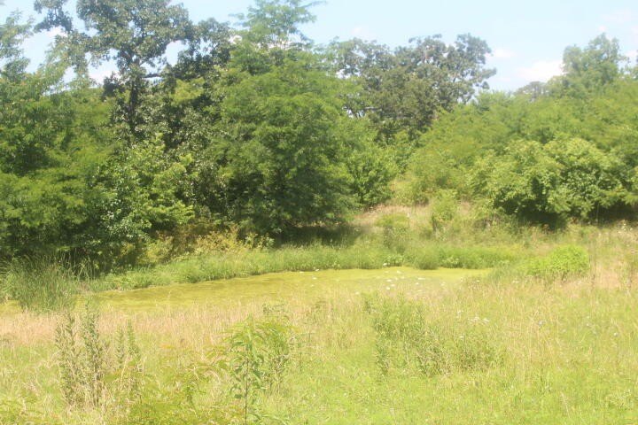 Polk, Missouri, 65727, United States, ,Land,For Sale,1980569