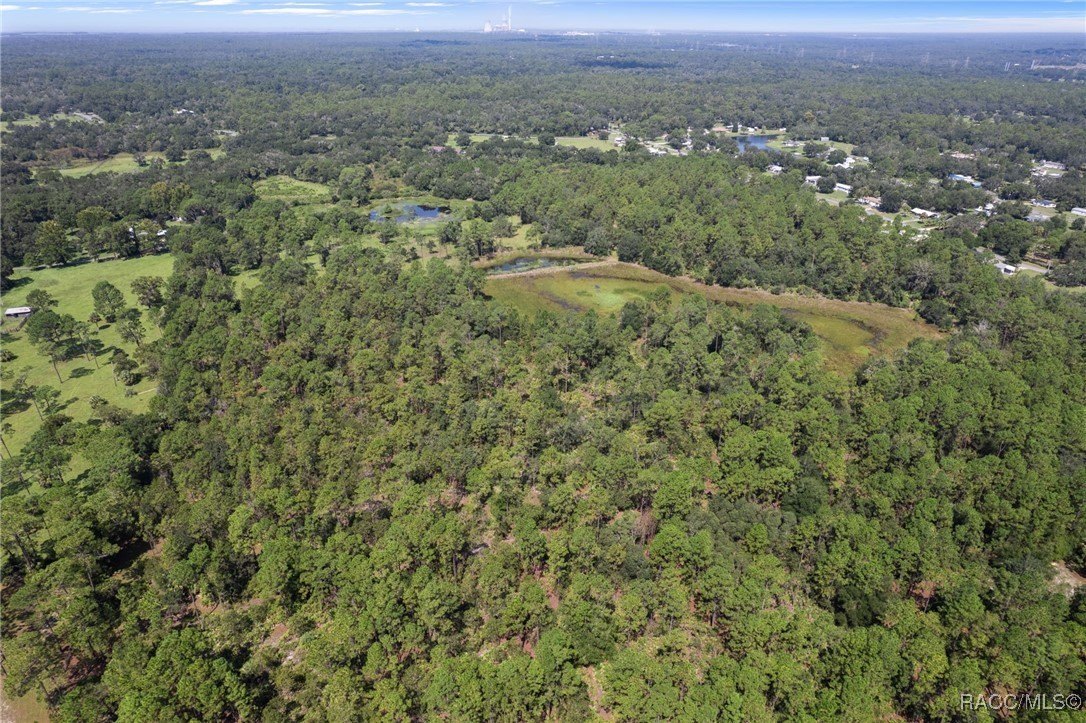 Crystal River, Florida, 34428, United States, ,Land,For Sale,1977814