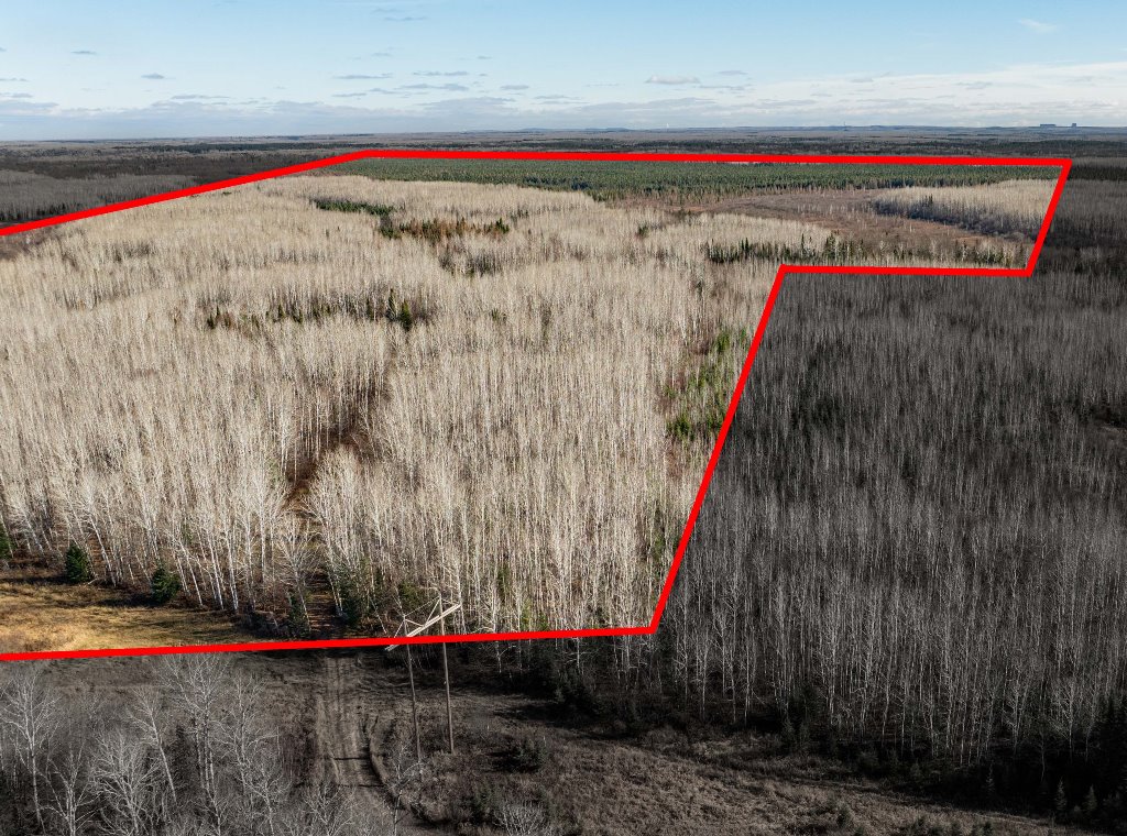 Grand Rapids, Minnesota, 55744, United States, ,Land,For Sale,1983791