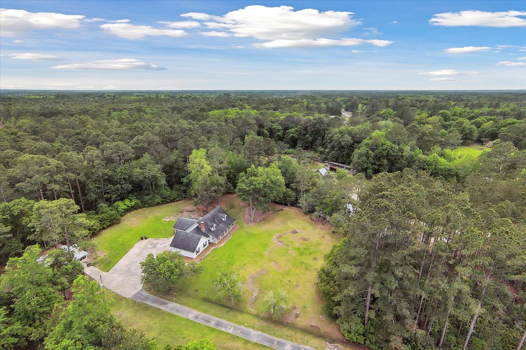 5278 NE Elim Church Road Ne Road, Ludowici, Georgia, 31316, United States, 3 Bedrooms Bedrooms, ,2 BathroomsBathrooms,Residential,For Sale,5278 NE Elim Church Road Ne Road,1437237
