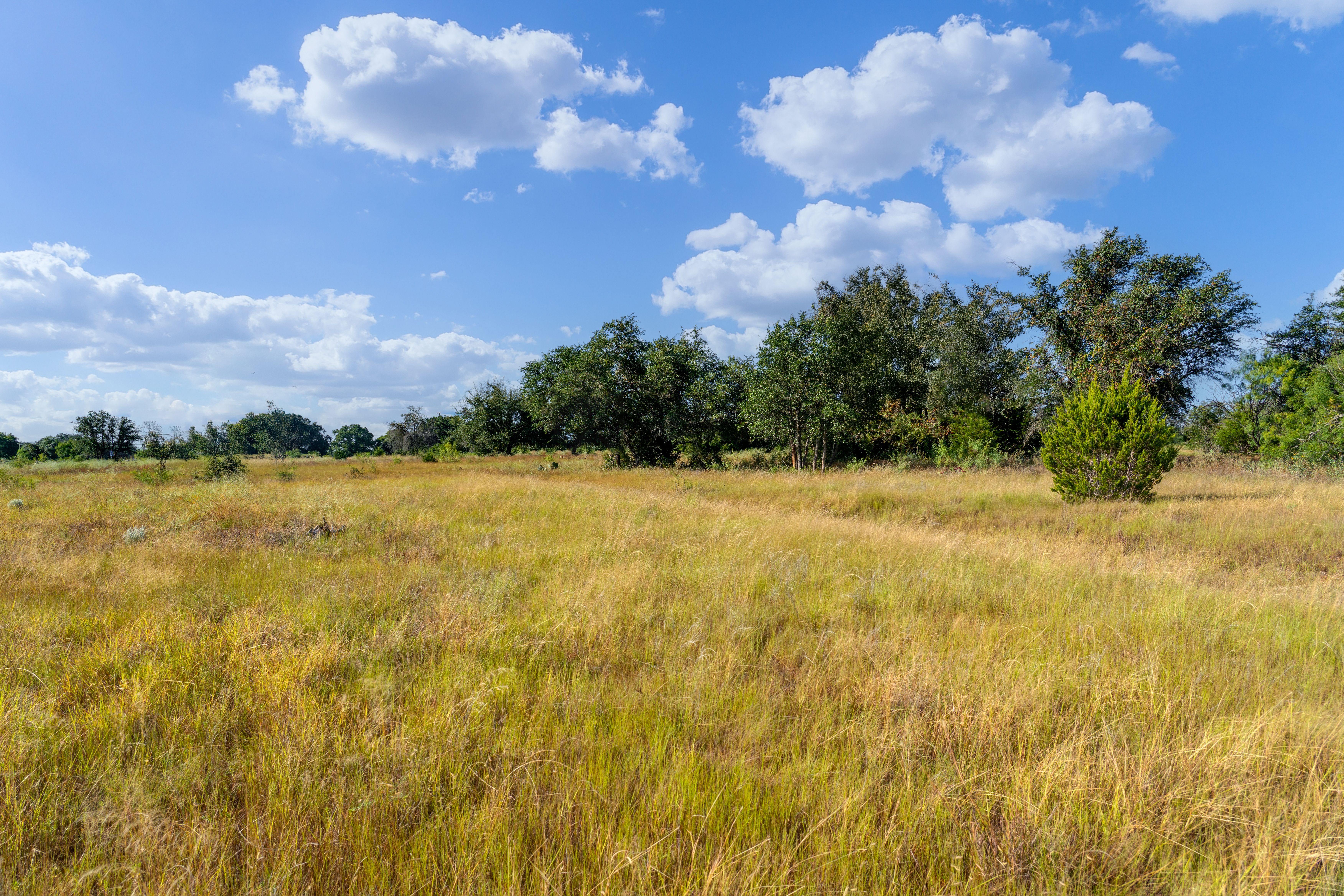  7994 W U.S. Highway 290, Johnson City, TX 78636 - 物件實景