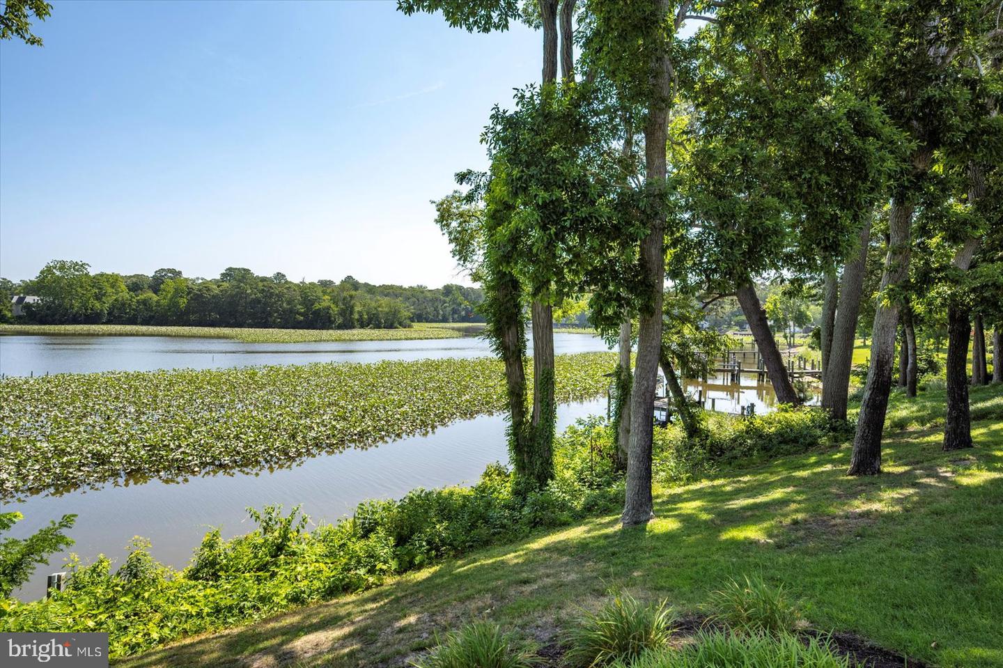 Salisbury, Maryland, 21801, United States, 4 Bedrooms Bedrooms, ,4 BathroomsBathrooms,Residential,For Sale,1874364
