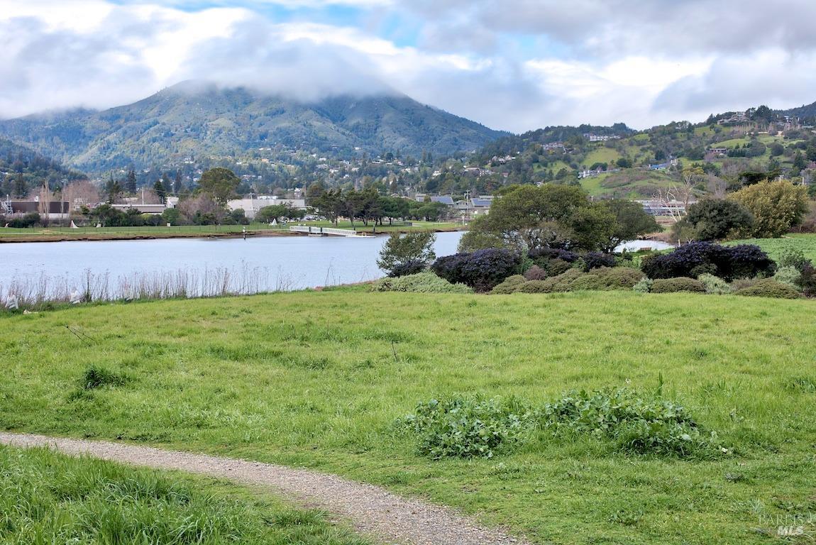 Mill Valley, California, 94941, United States, 2 Bedrooms Bedrooms, ,2 BathroomsBathrooms,Residential,For Sale,1926308