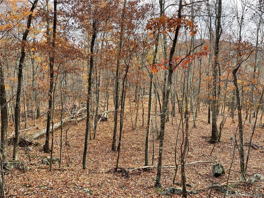 New Fairfield, Connecticut, 06812, United States, ,Residential,For Sale,1986113