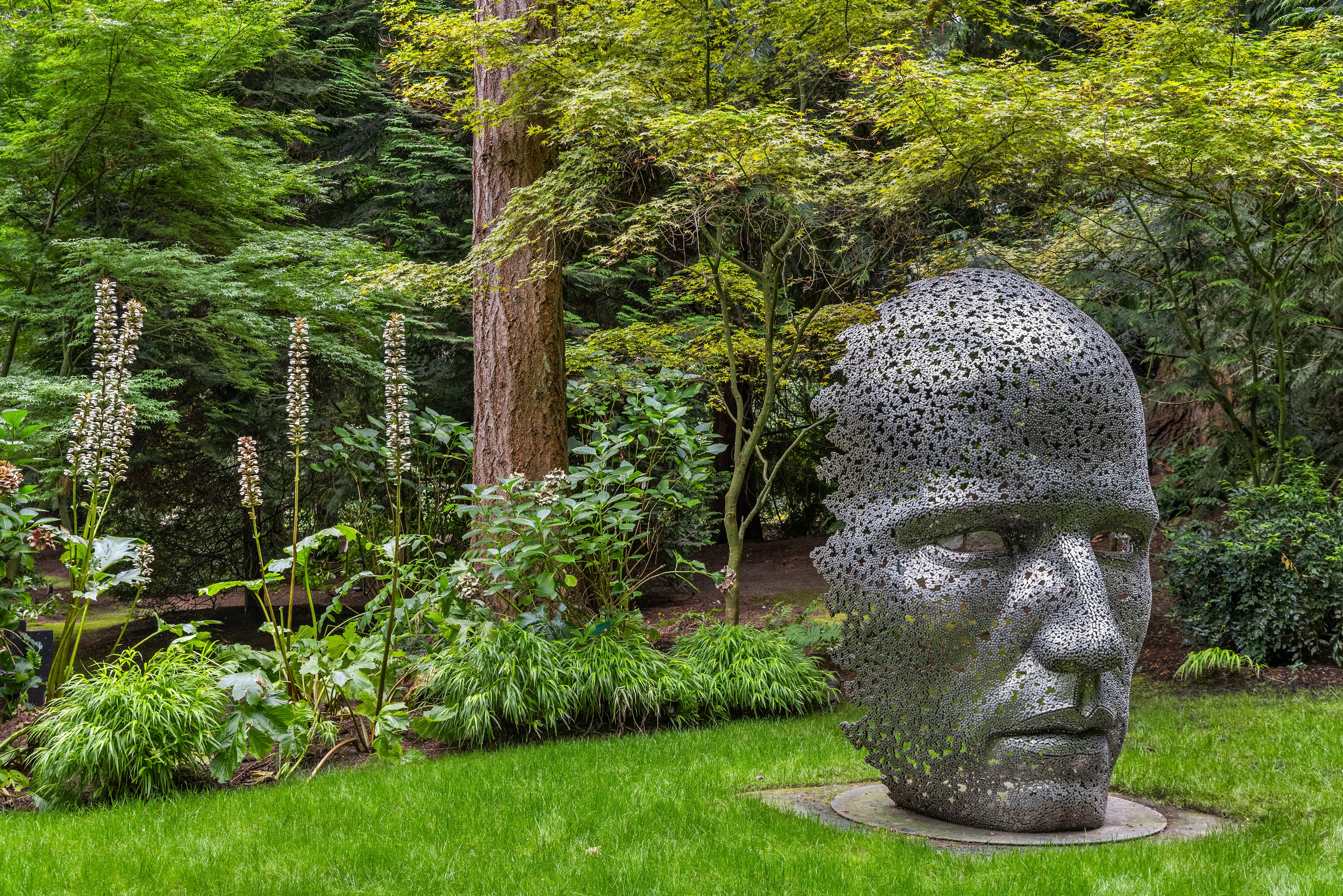  3600 Hunts Point Rd, Hunts Point, WA 98004 - 物件實景